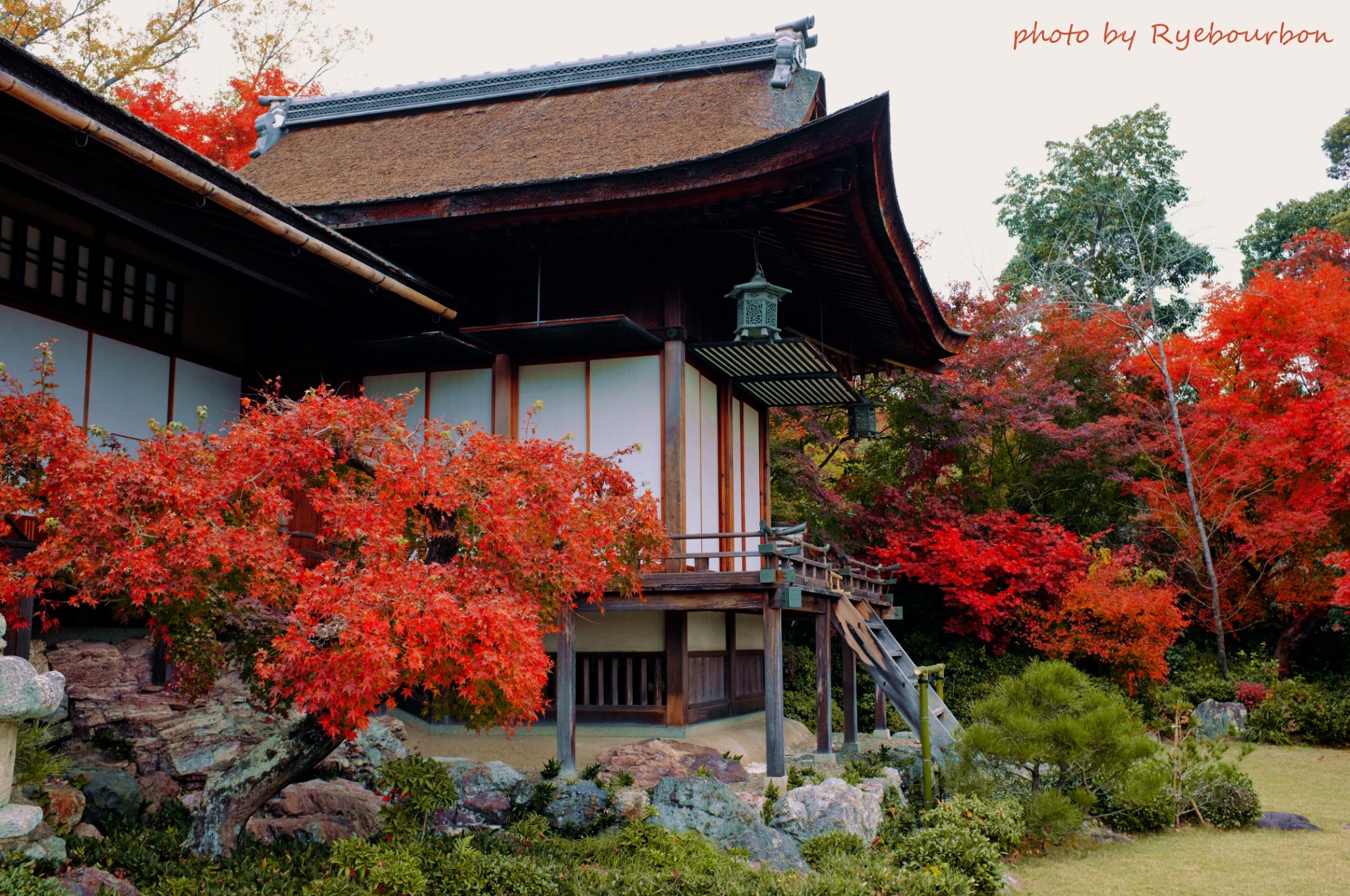 京都自助遊攻略