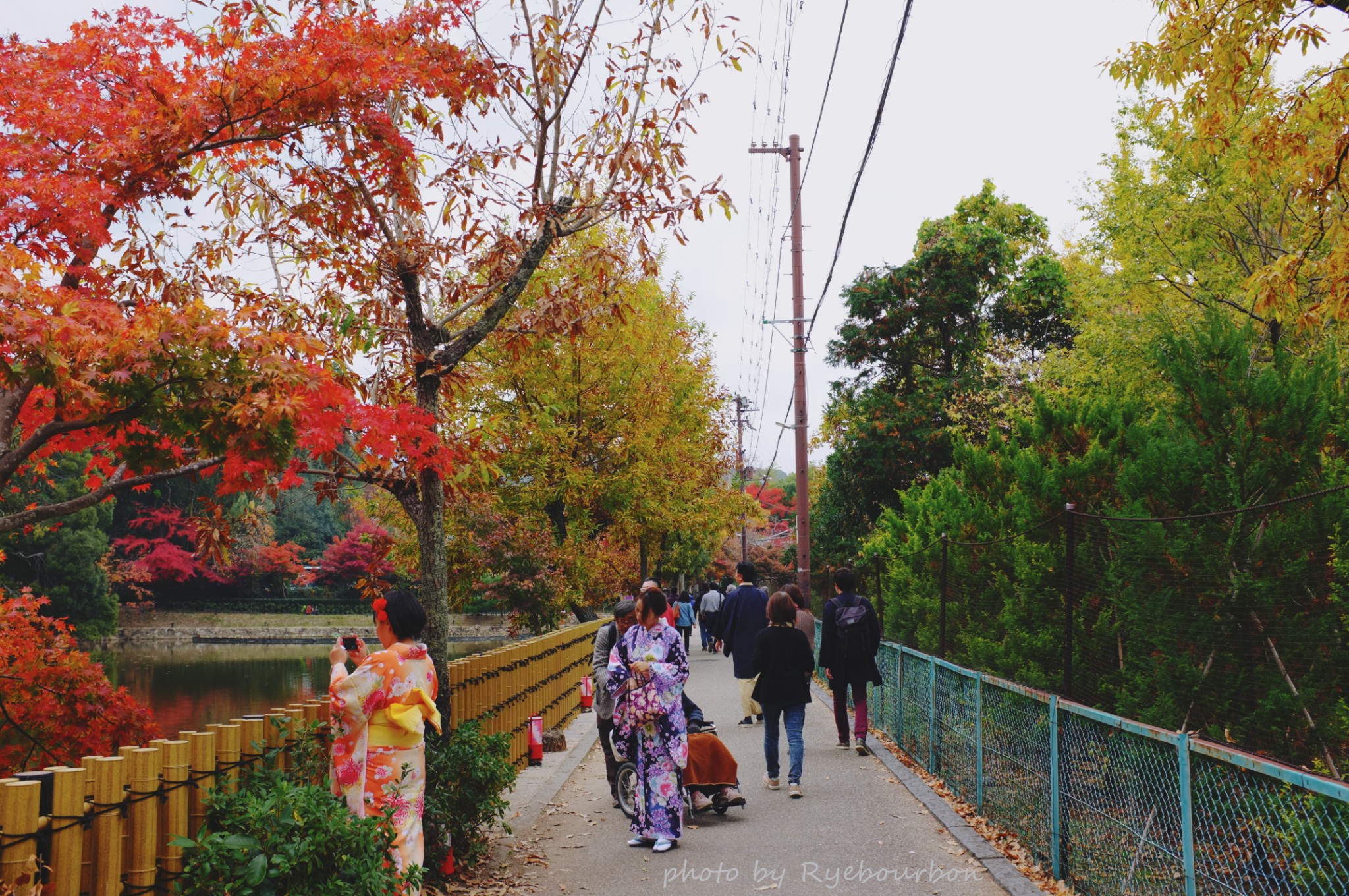 京都自助遊攻略