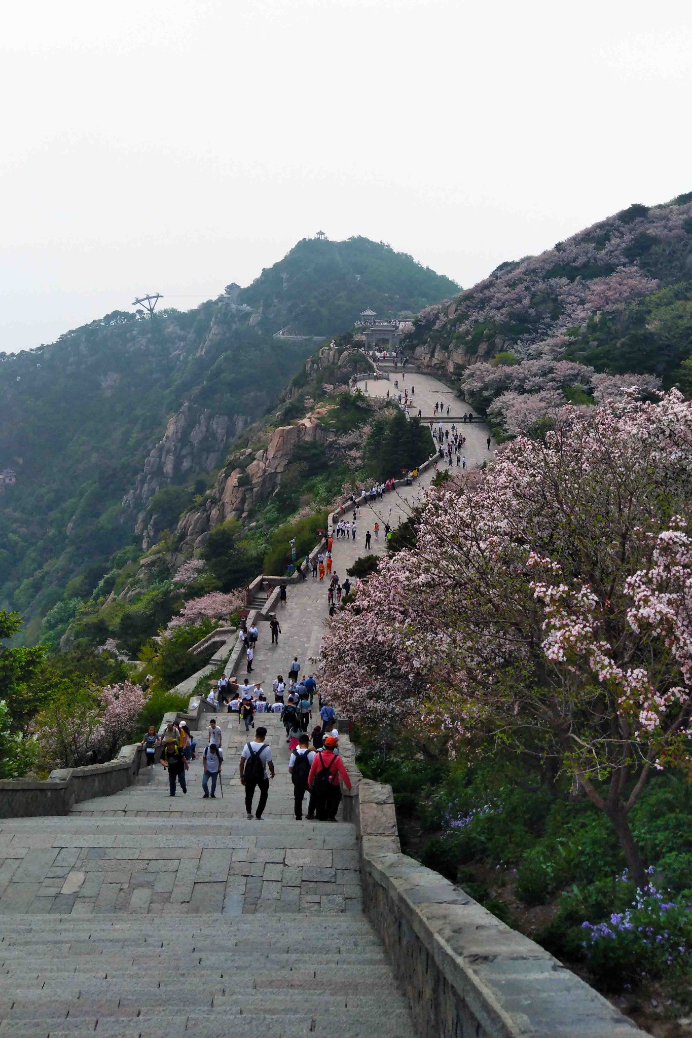 行走齊魯大地-跨越山海之間 ▏窮遊山東14天