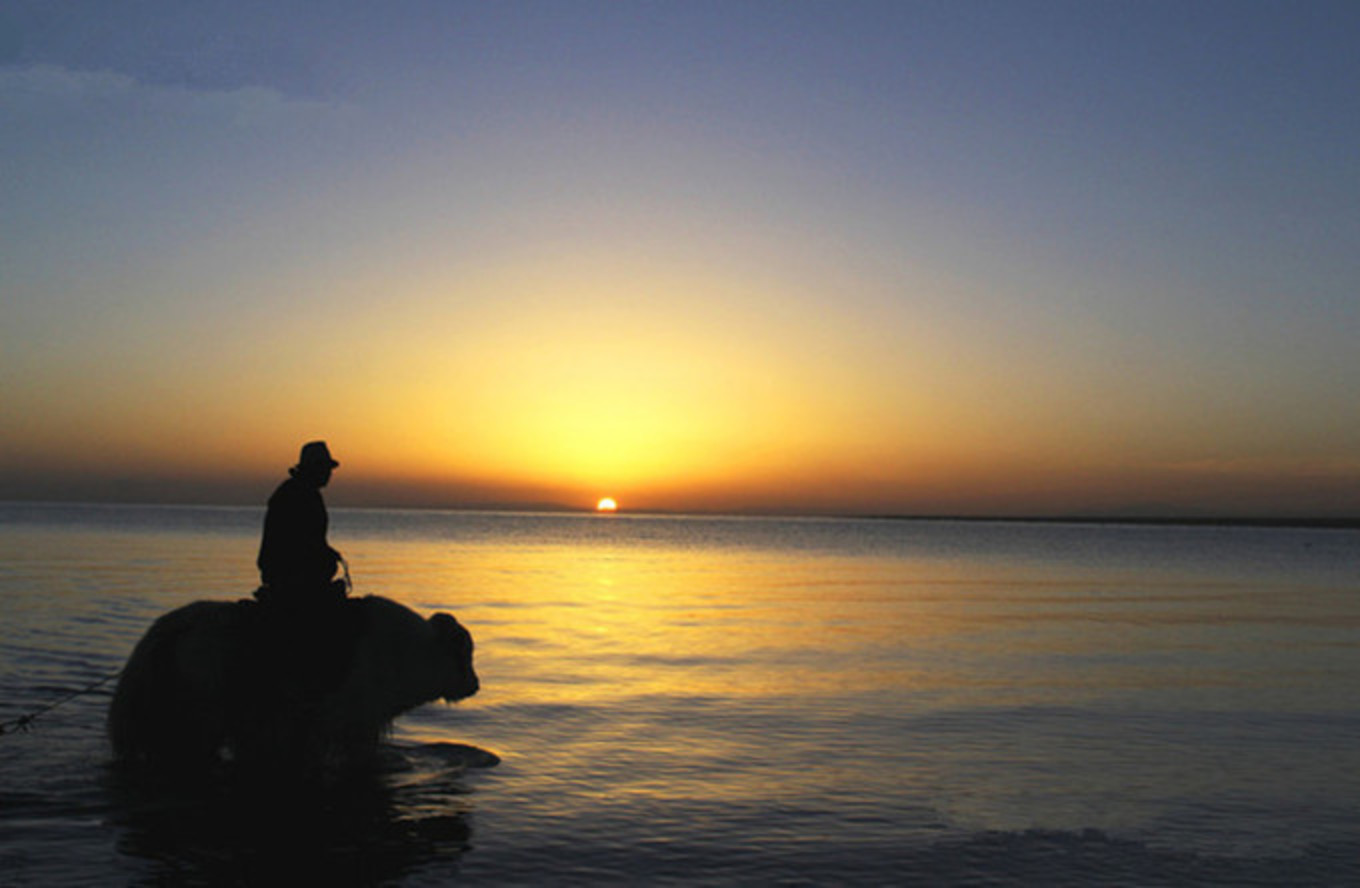 苍茫的天涯是我的爱 — 记西北九日环线,青海湖,敦煌,张掖