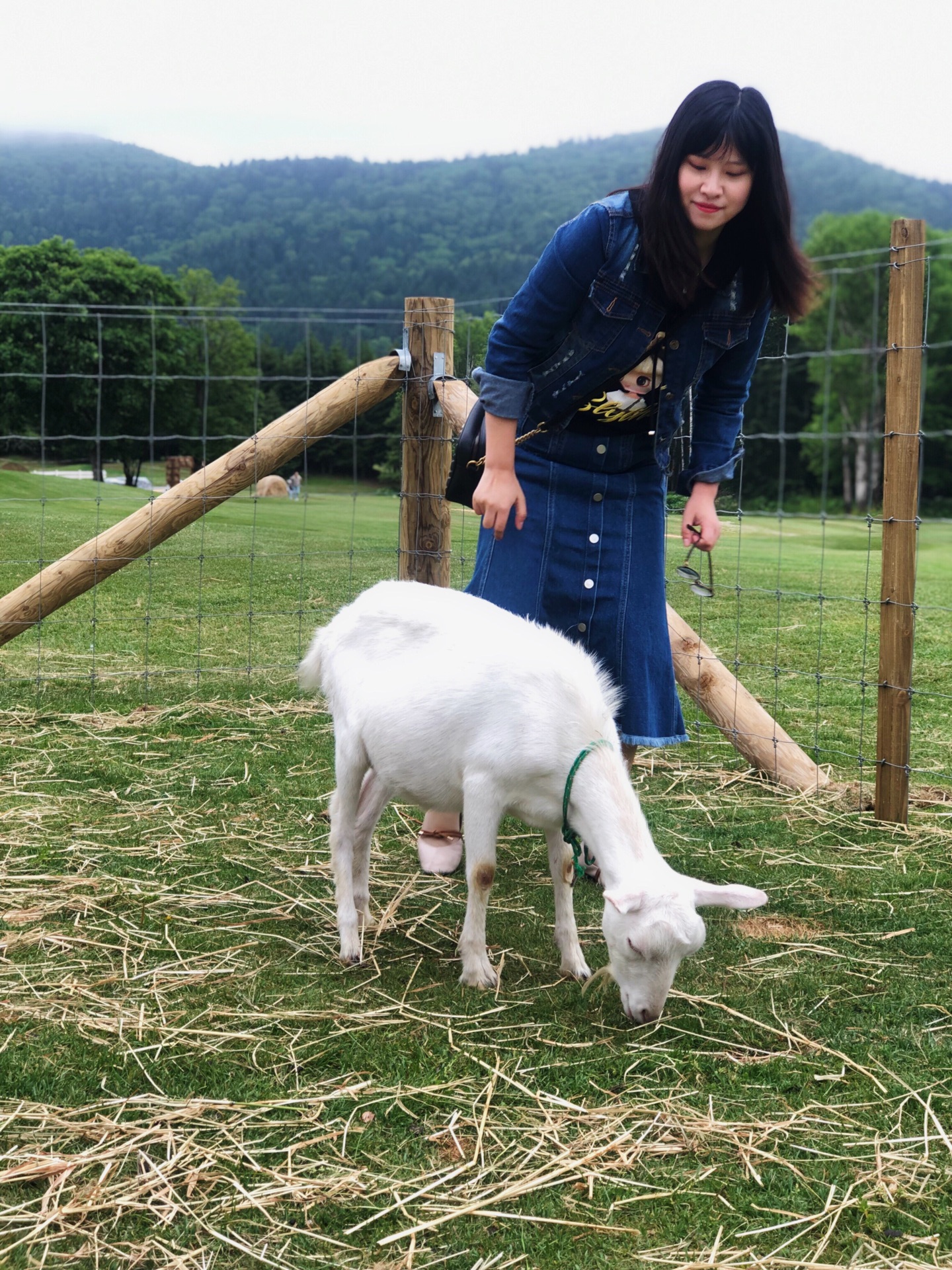 北海道自助遊攻略