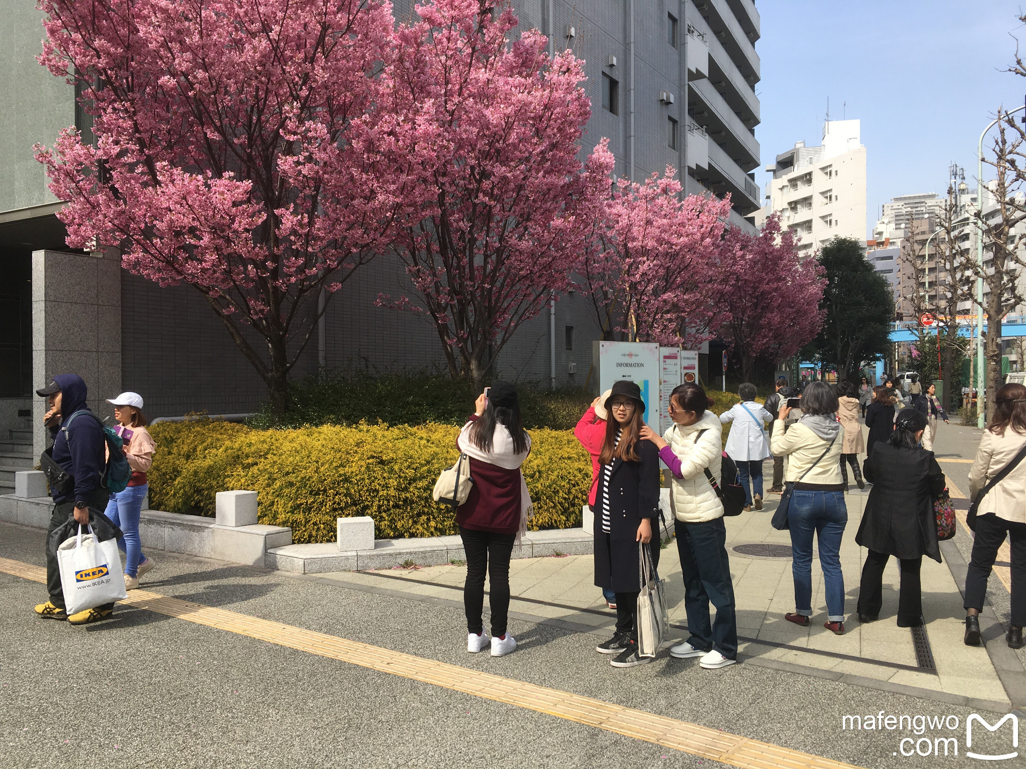 東京自助遊攻略