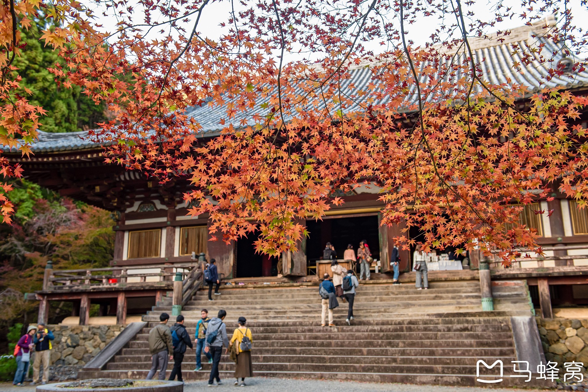 京都自助遊攻略