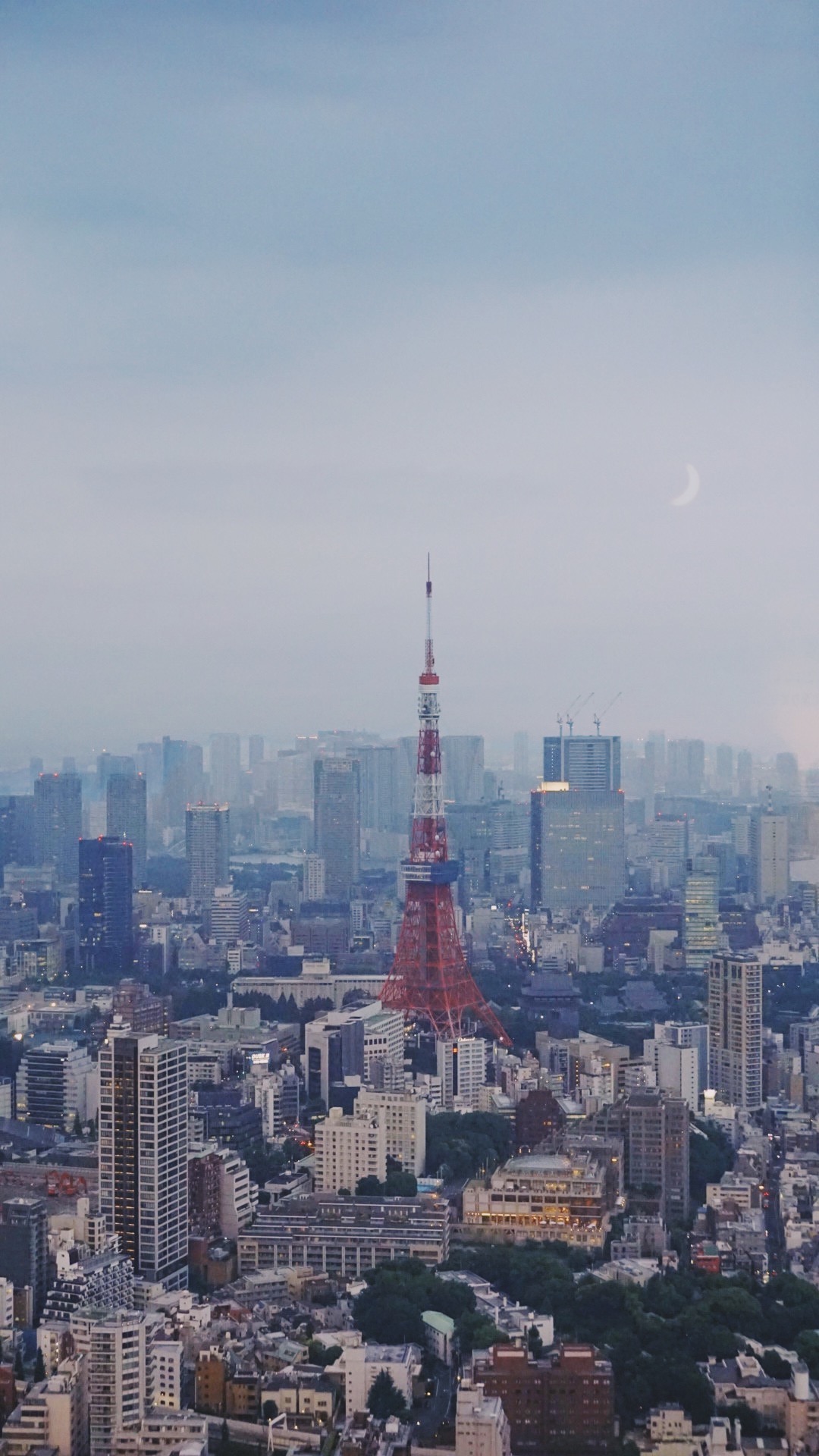 東京自助遊攻略