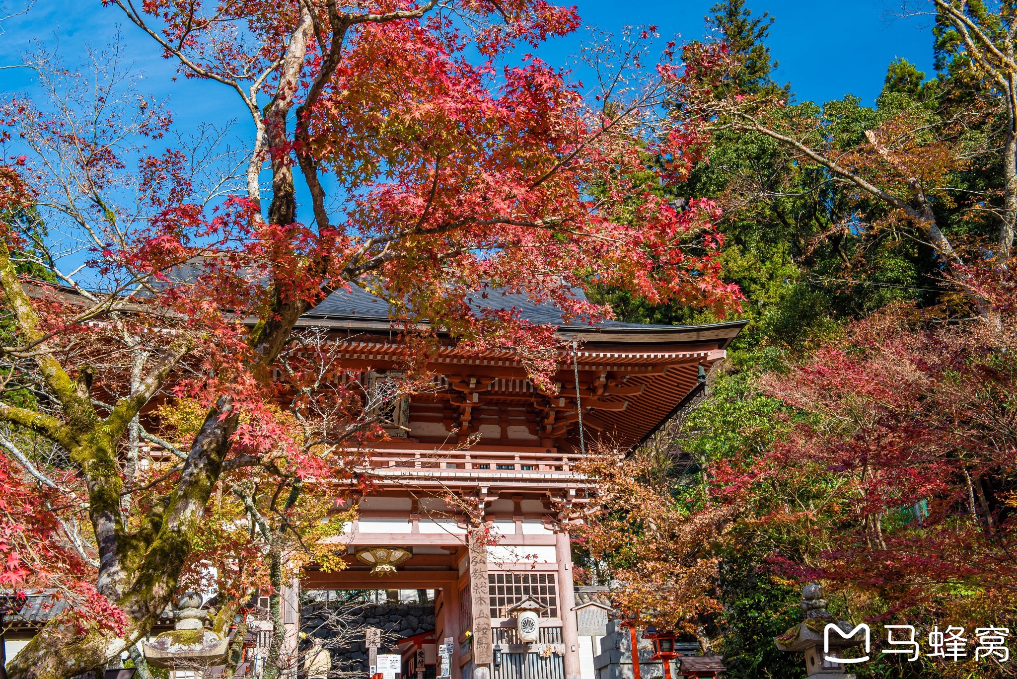 京都自助遊攻略