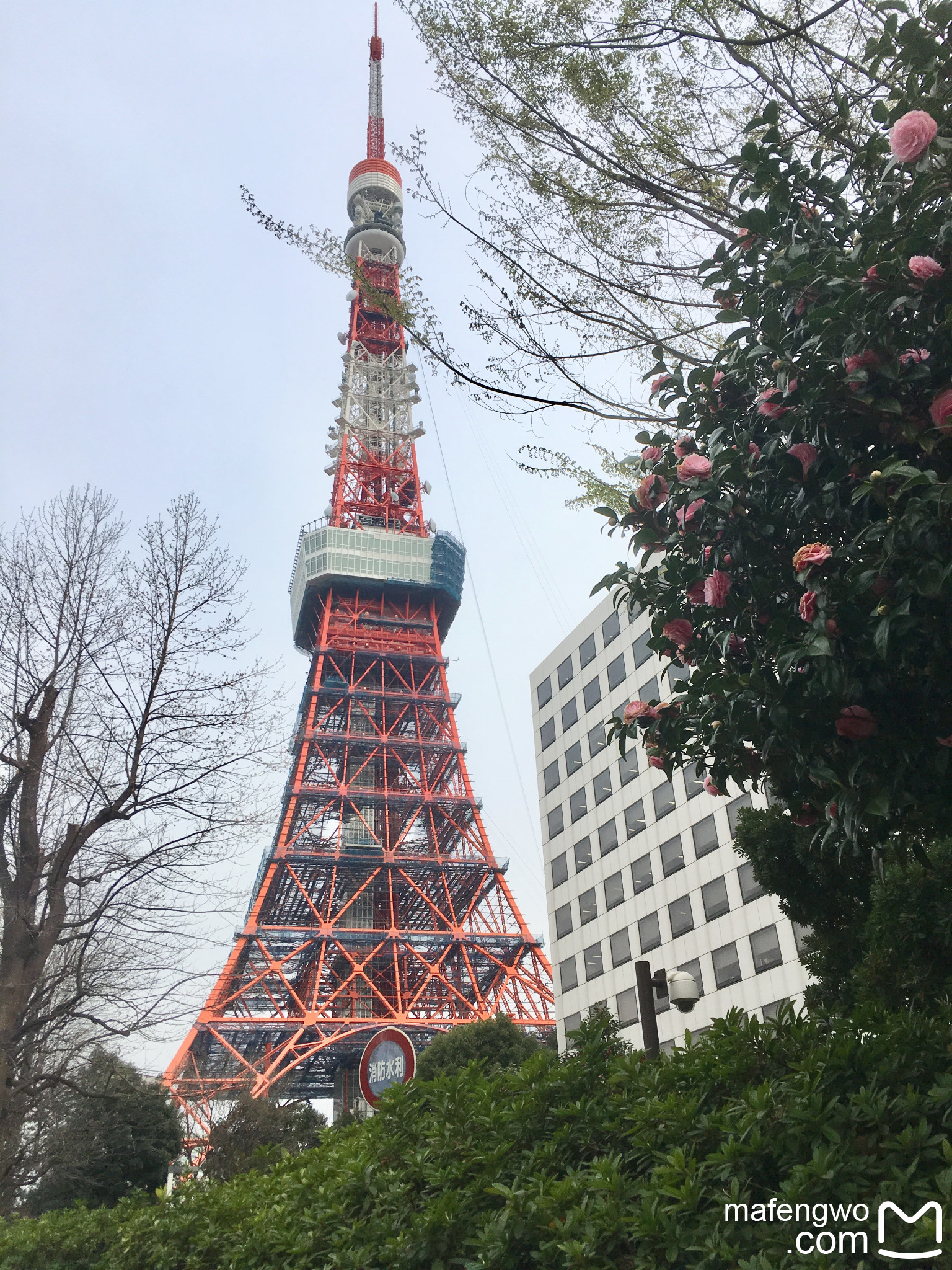 東京自助遊攻略