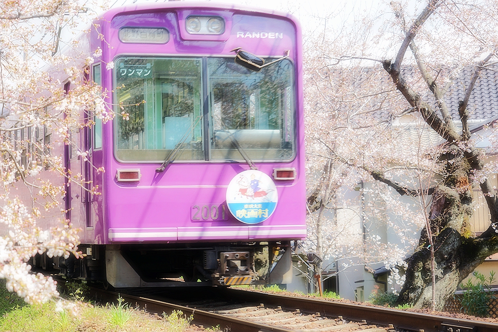 京都自助遊攻略