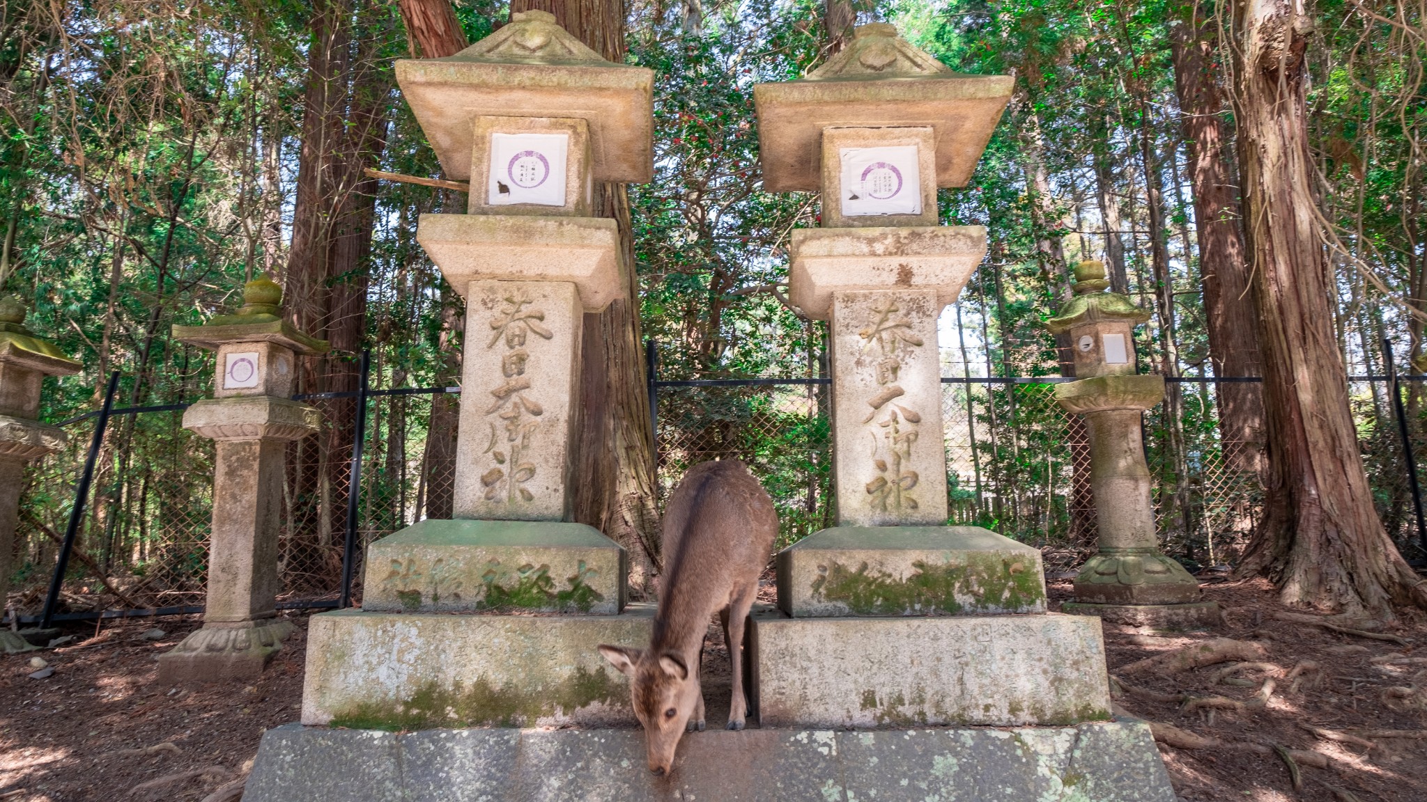 大阪自助遊攻略