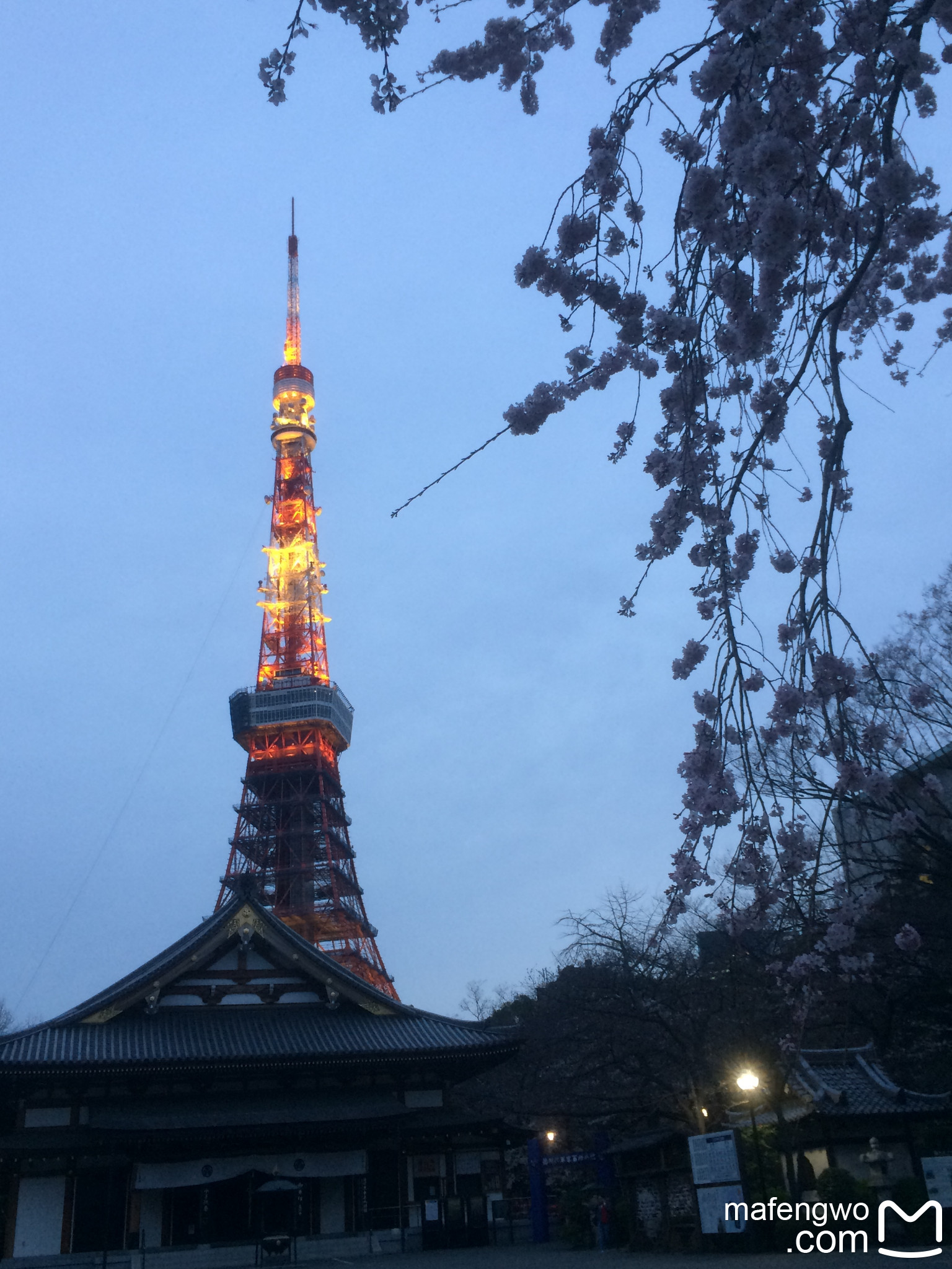 東京自助遊攻略