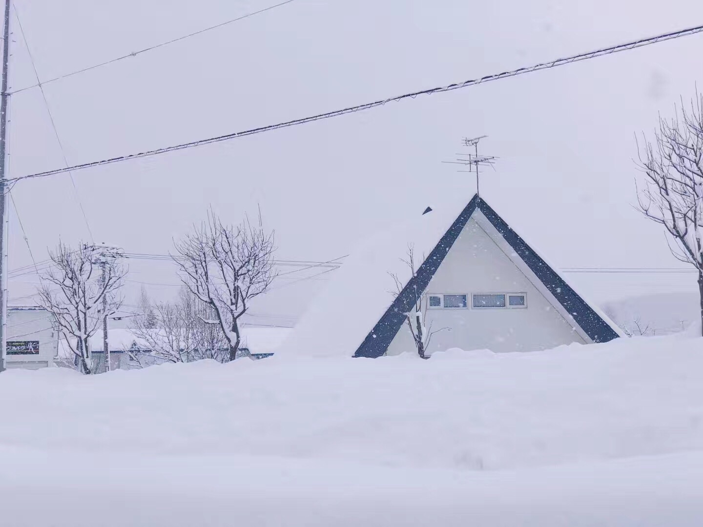 北海道自助遊攻略