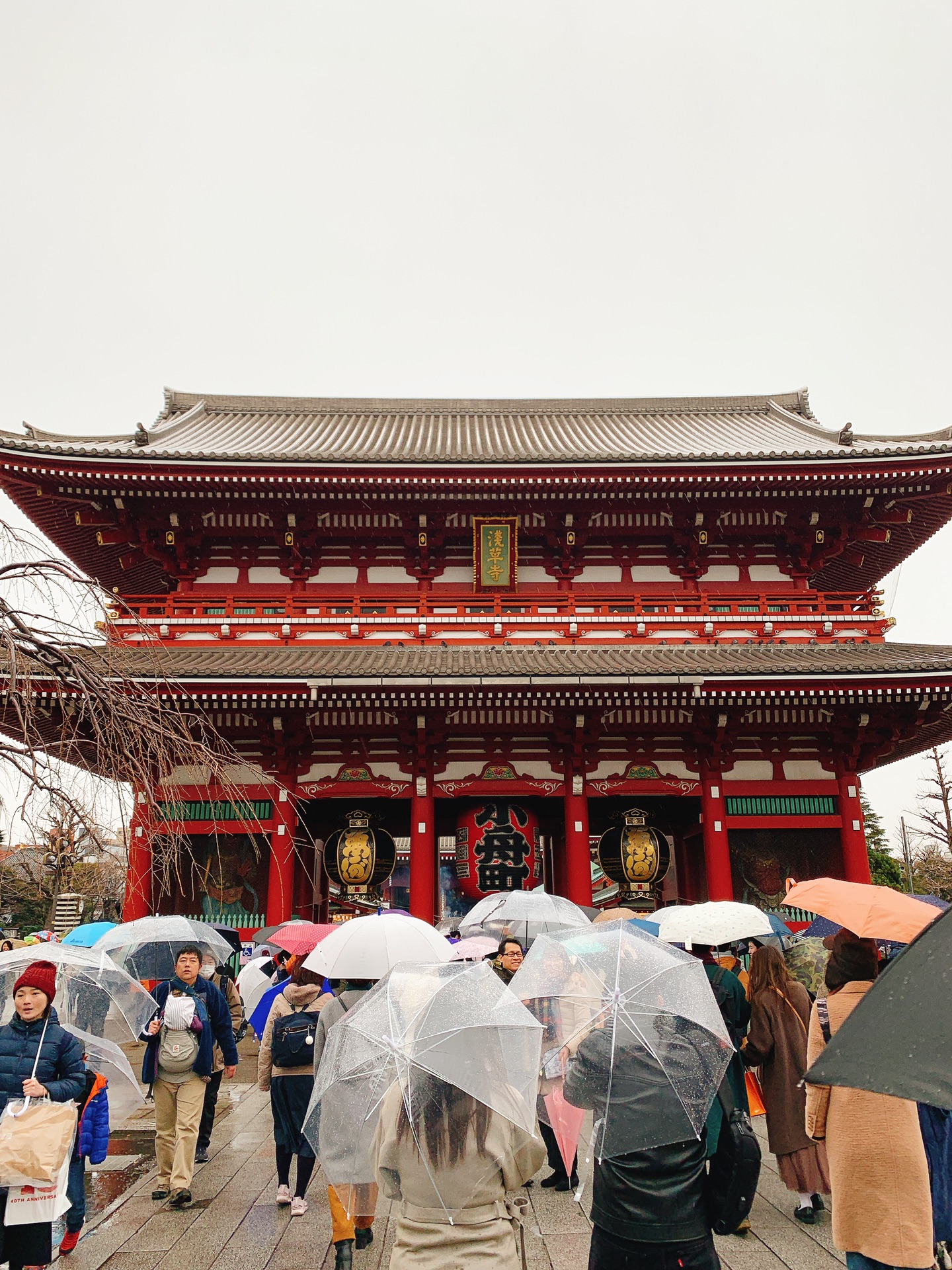 東京自助遊攻略