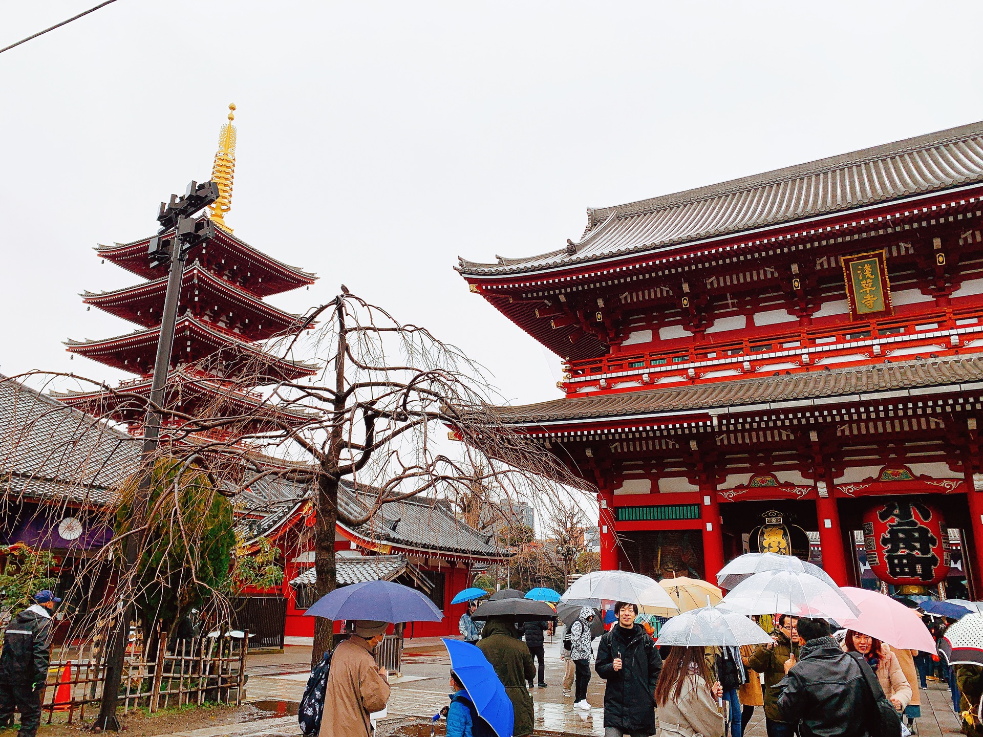 東京自助遊攻略