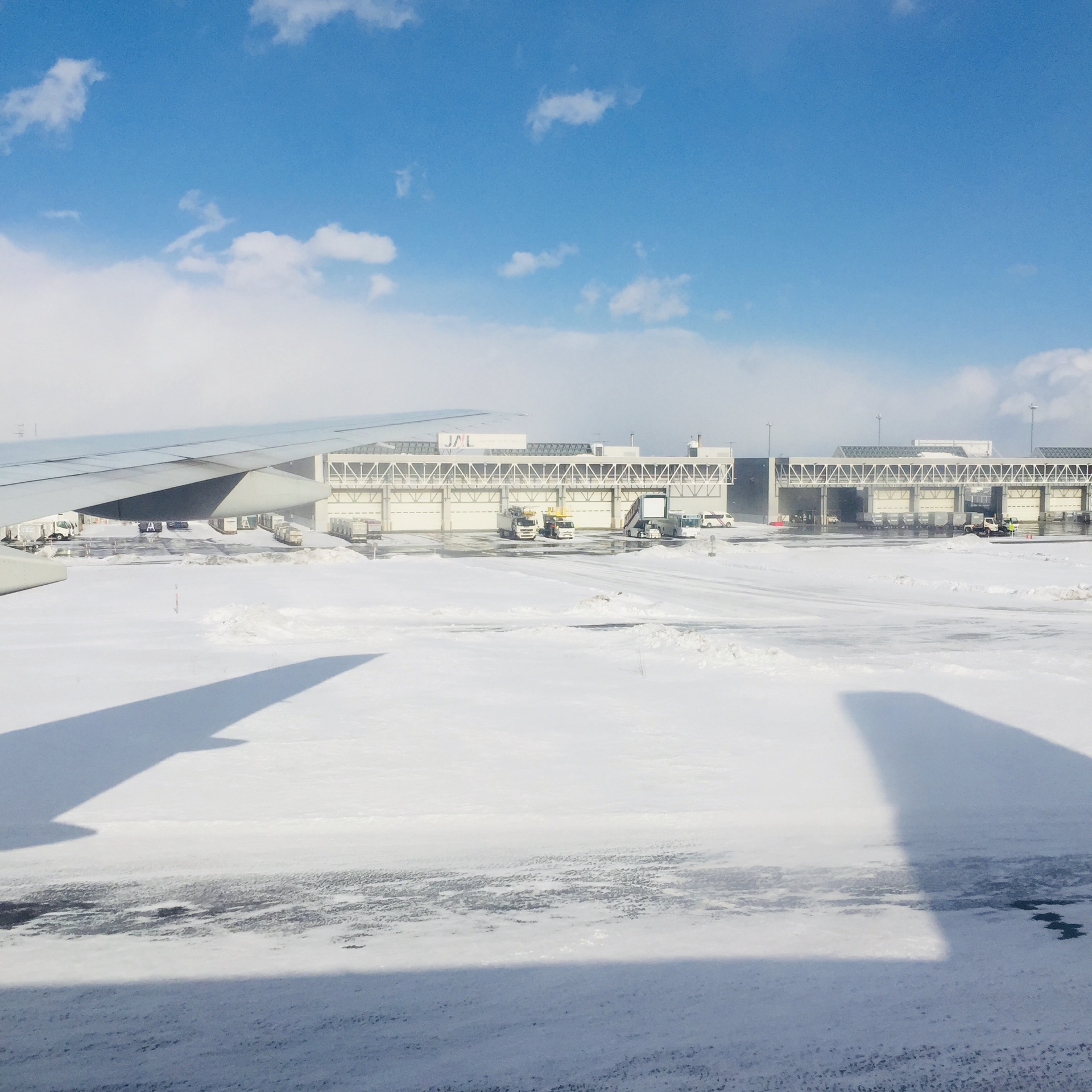 北海道自助遊攻略