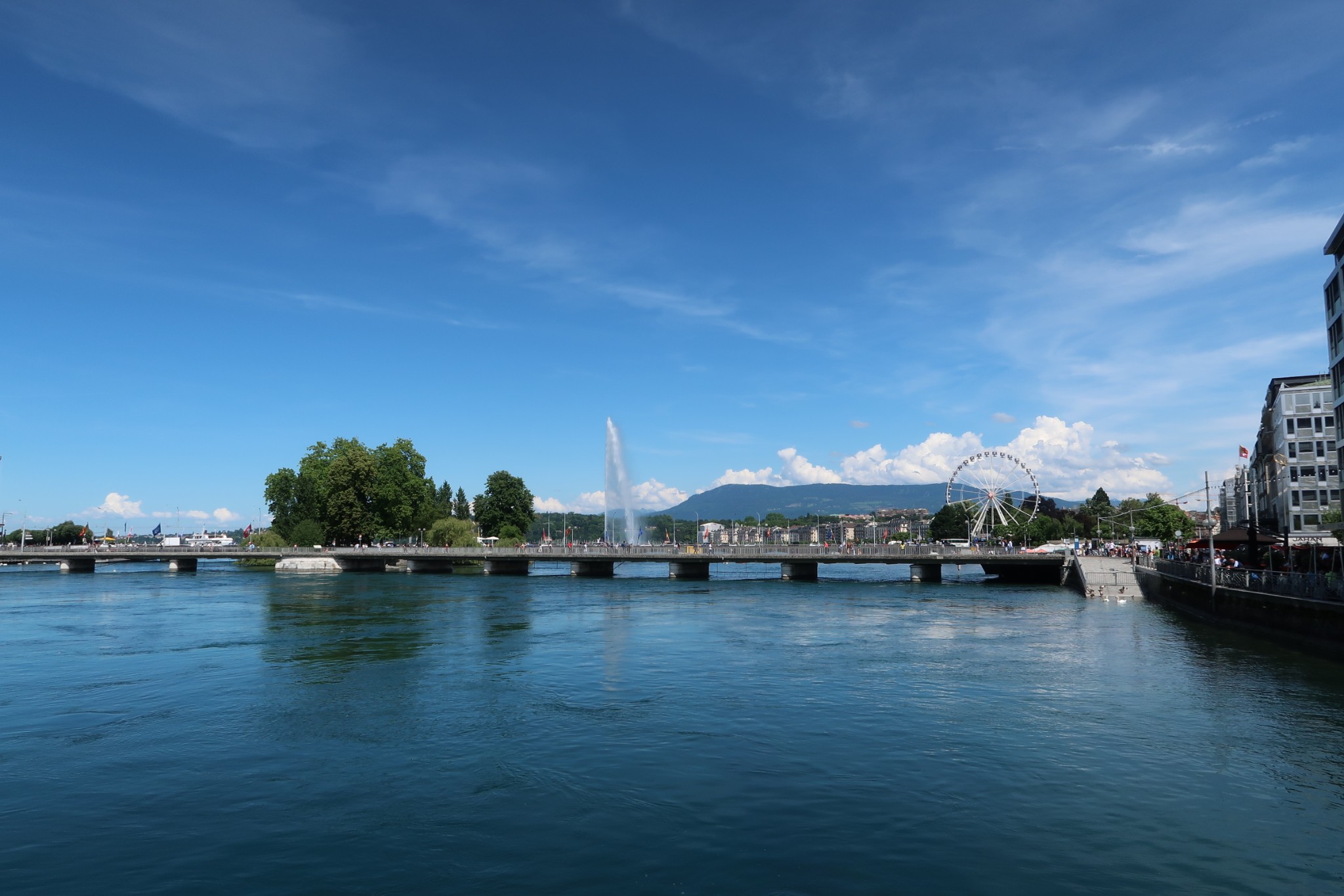 日内瓦vlog | 湖光山色 莱芒湖畔喂天鹅_游记