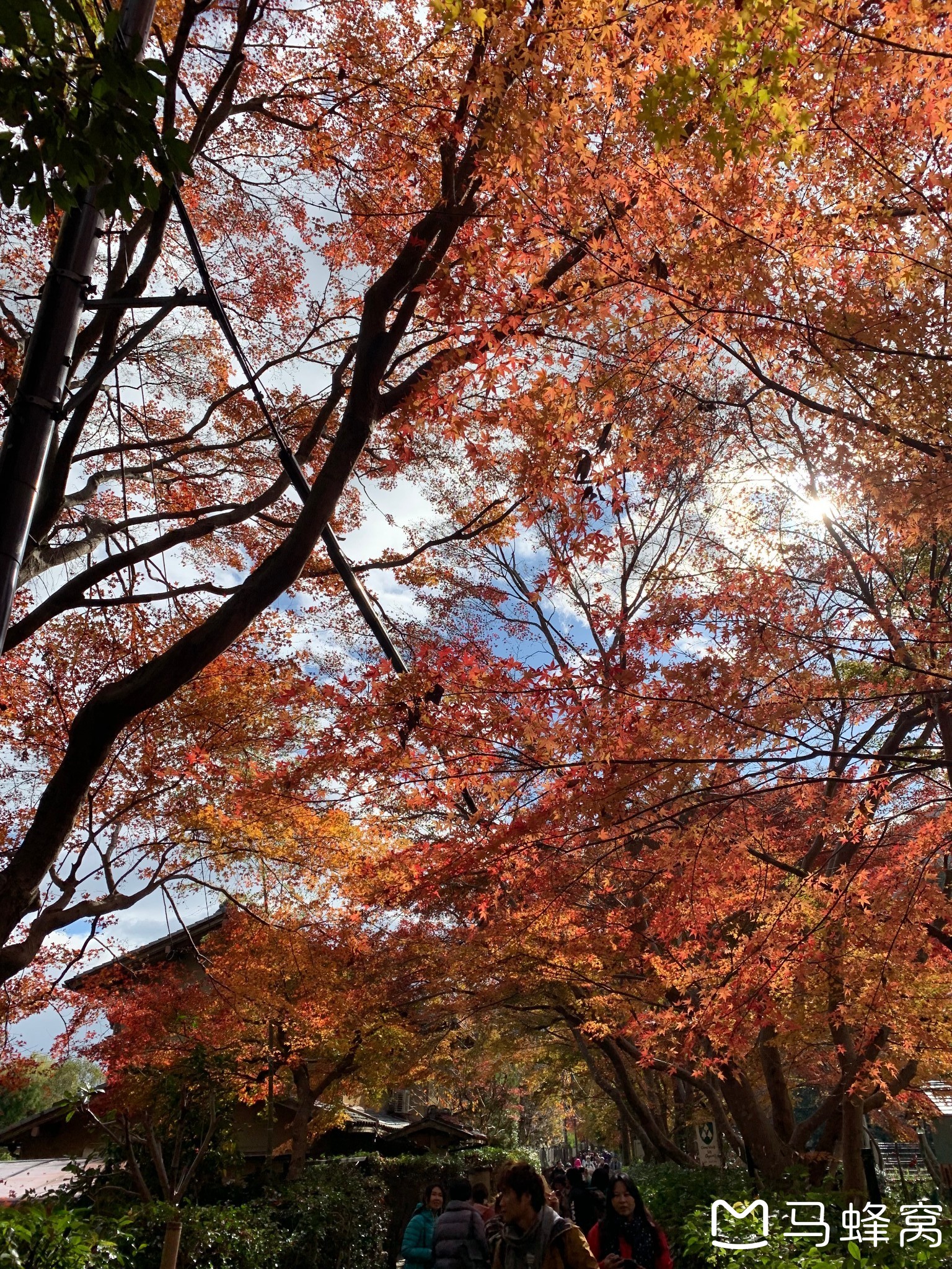 京都自助遊攻略