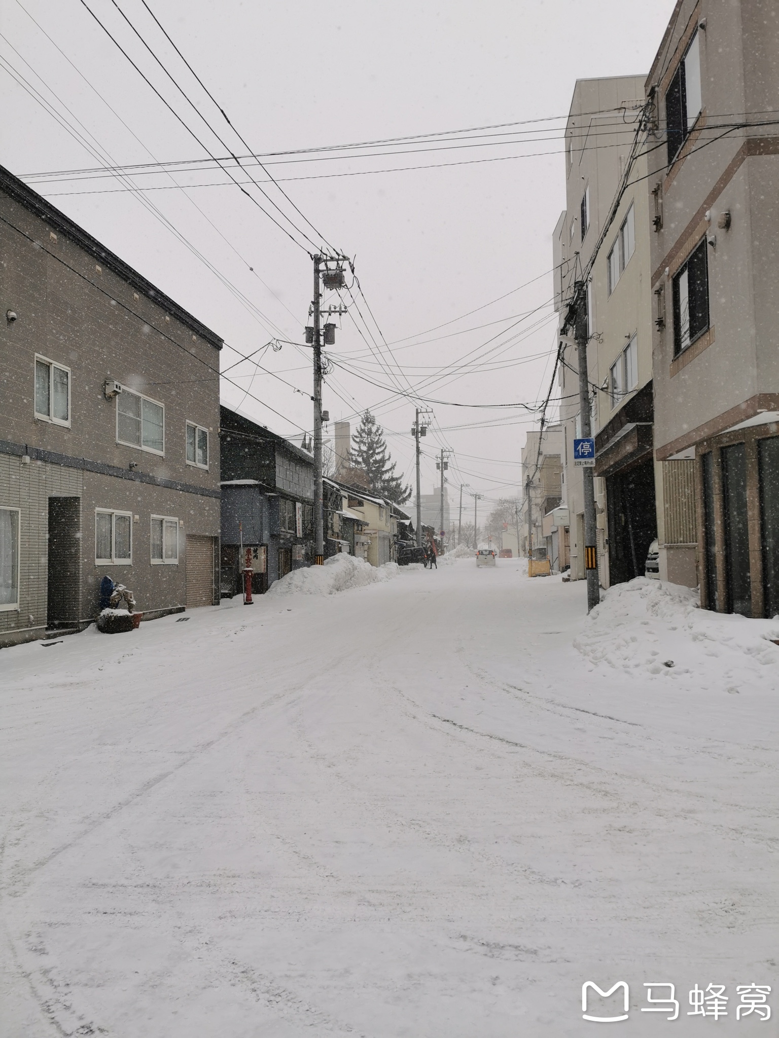 北海道自助遊攻略