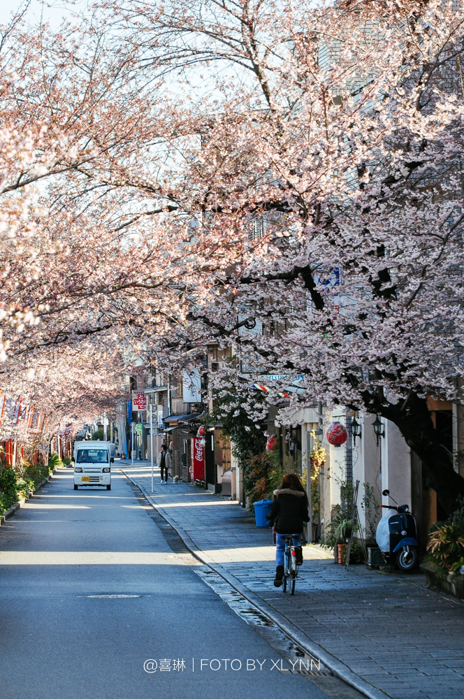 京都自助遊攻略