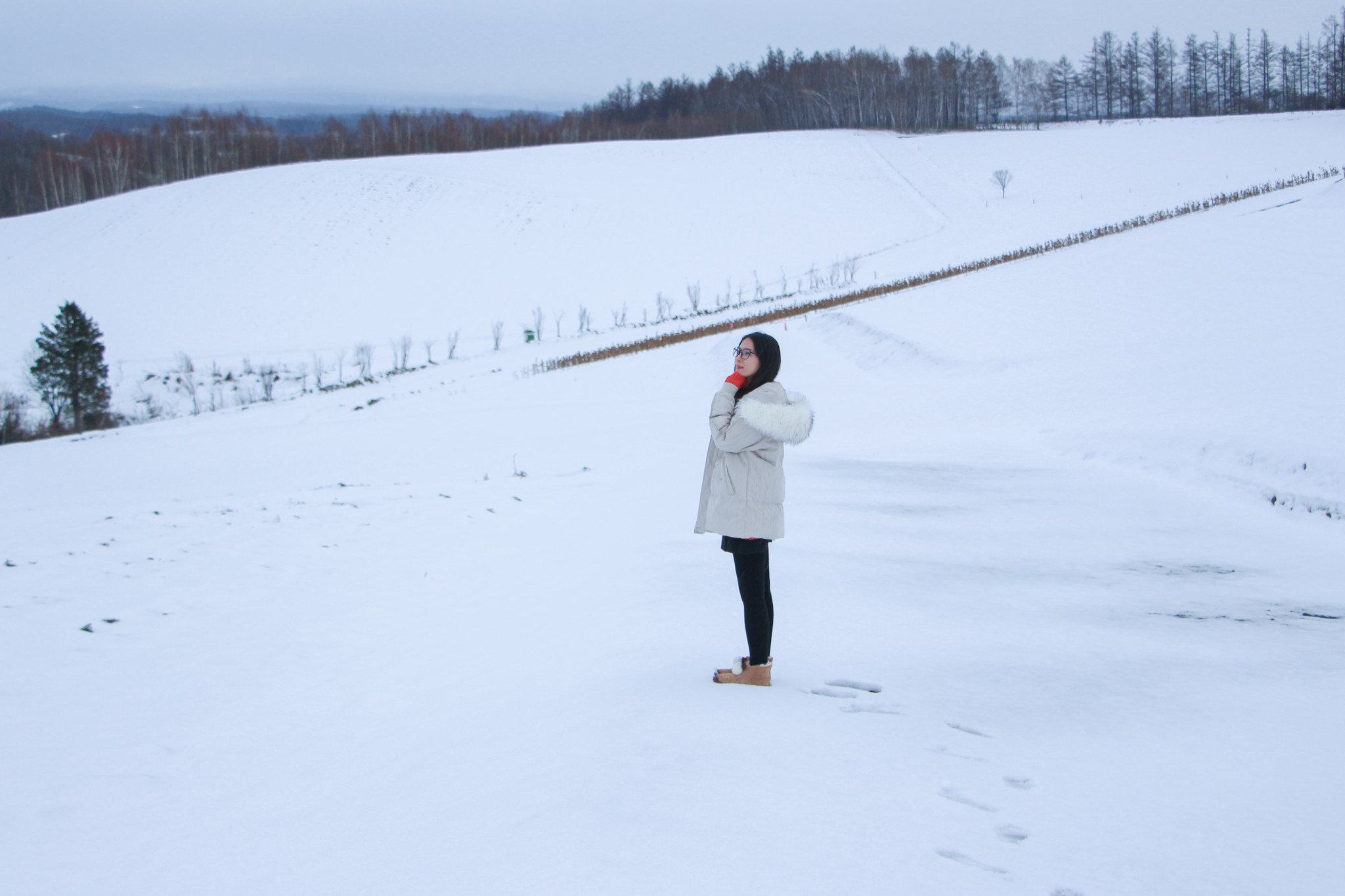 北海道自助遊攻略