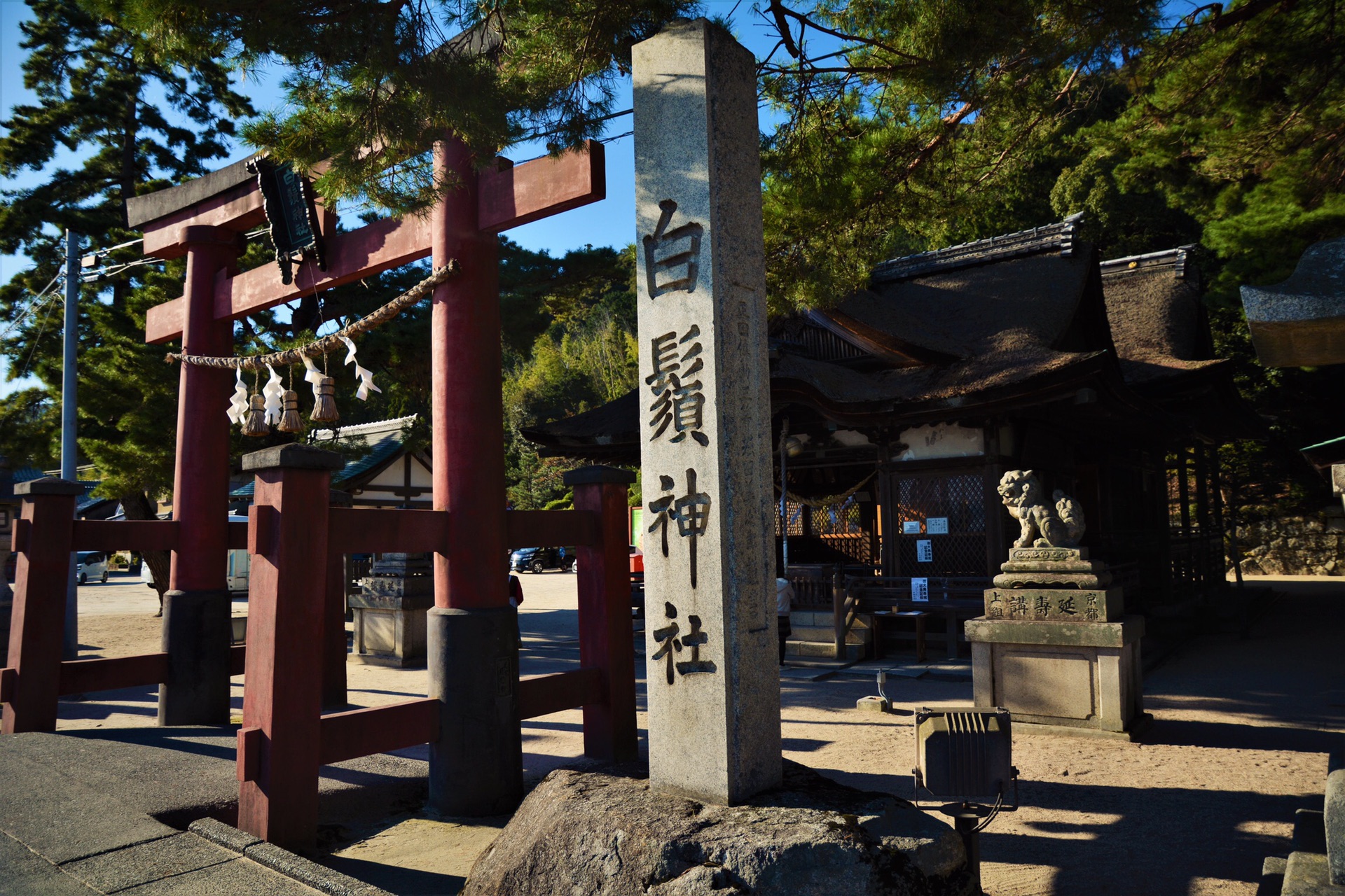 京都自助遊攻略