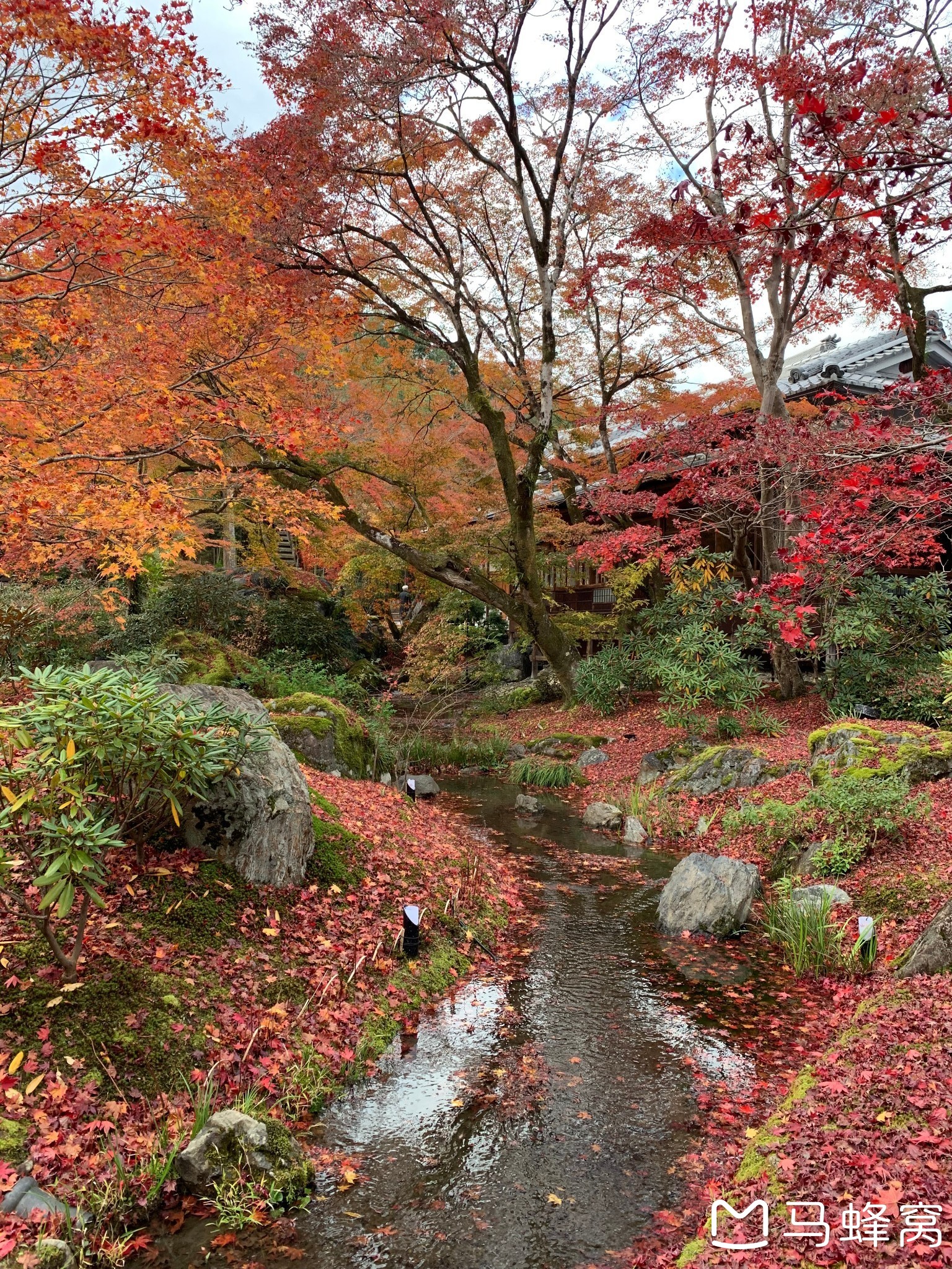 京都自助遊攻略