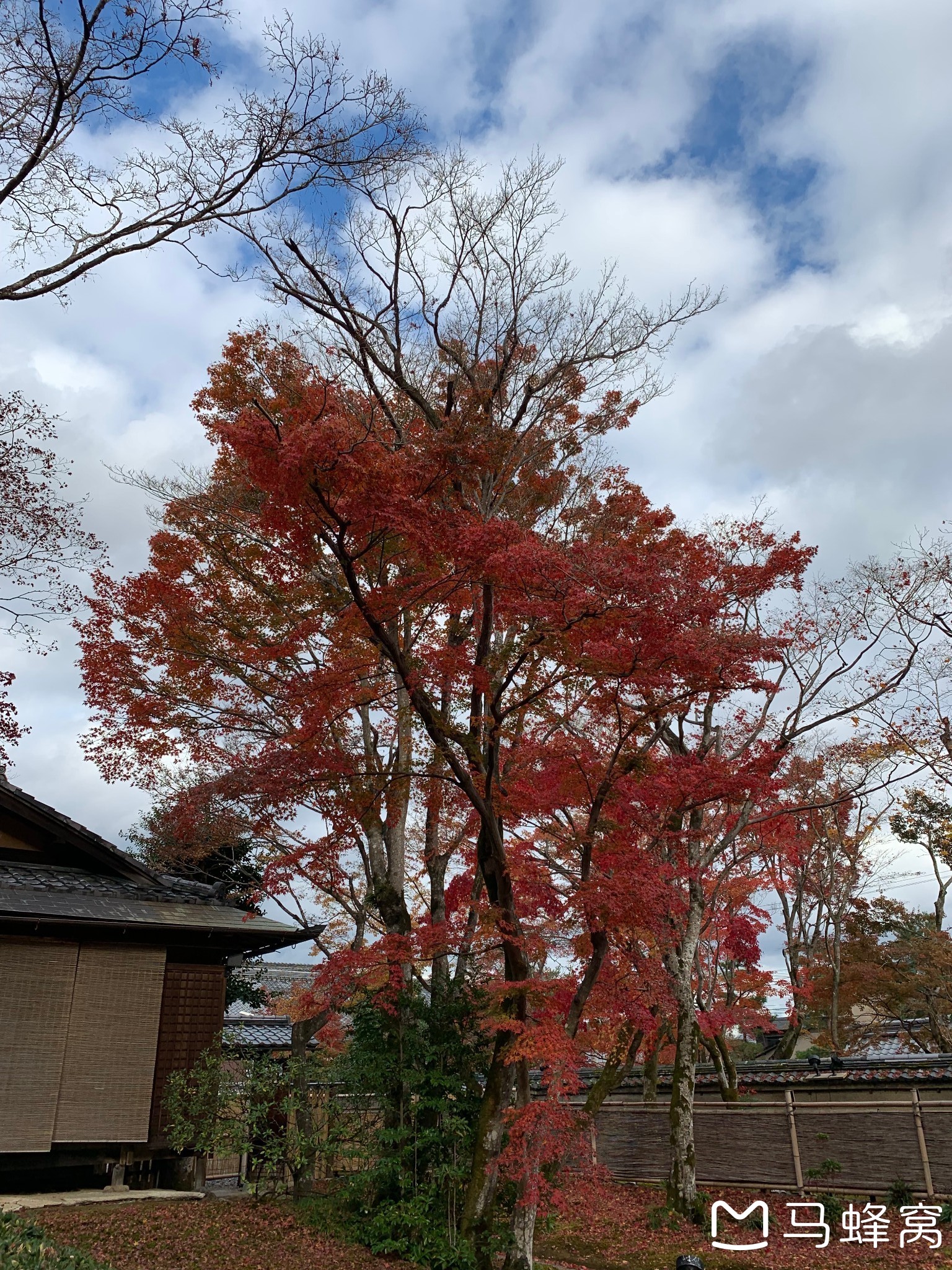 京都自助遊攻略