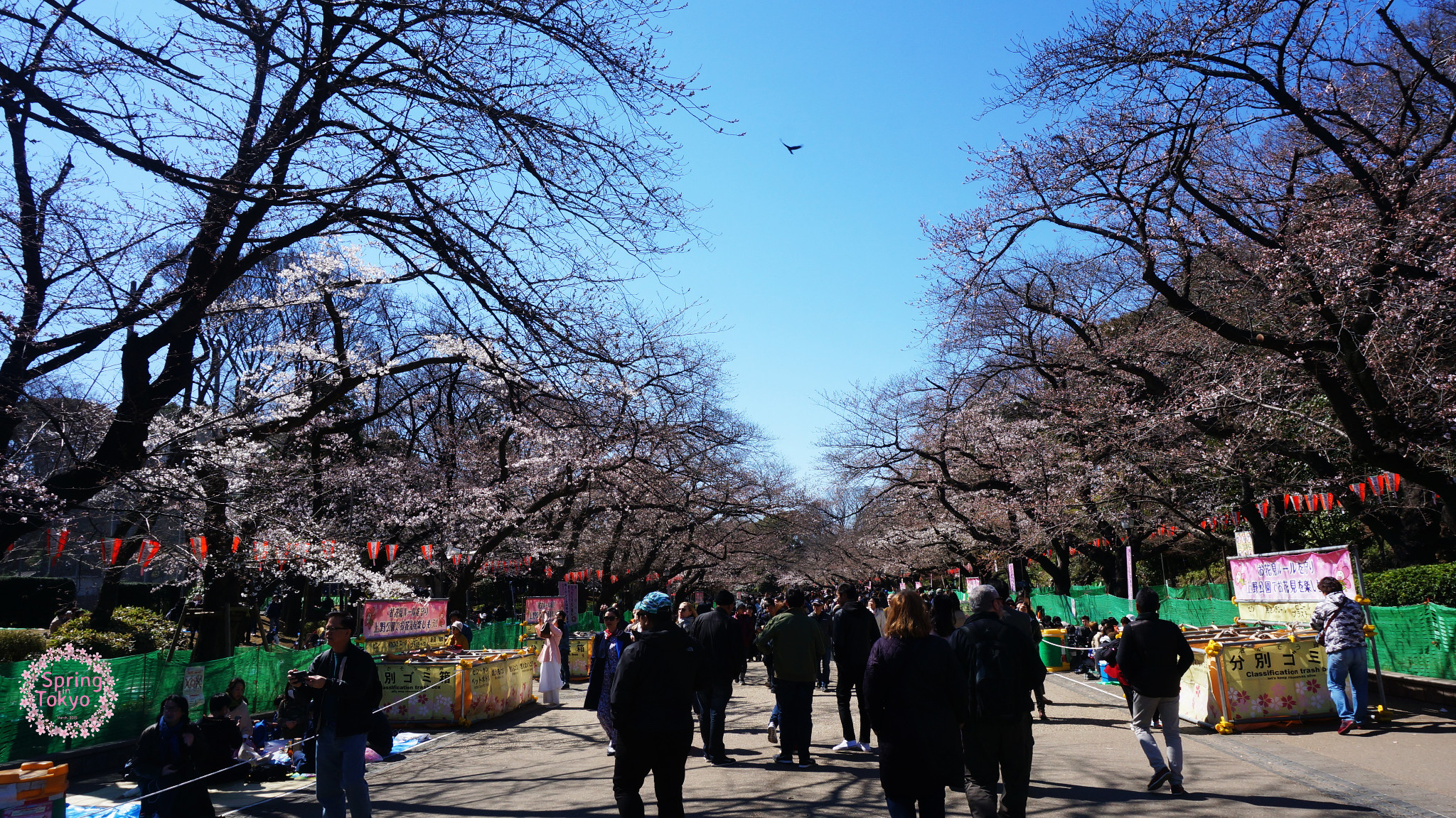 東京自助遊攻略