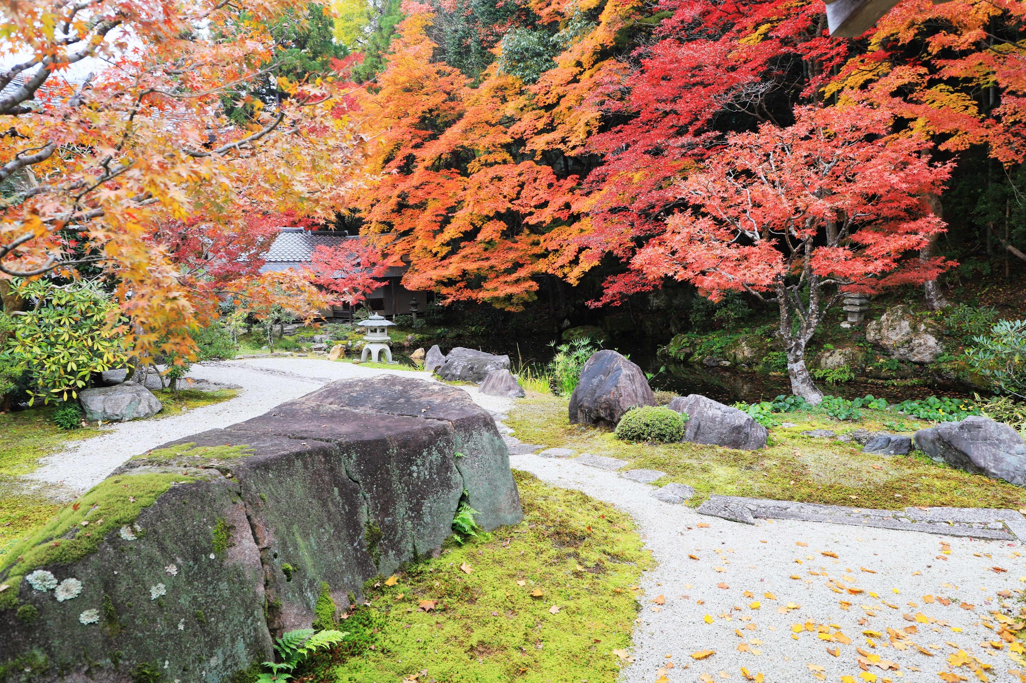 京都自助遊攻略