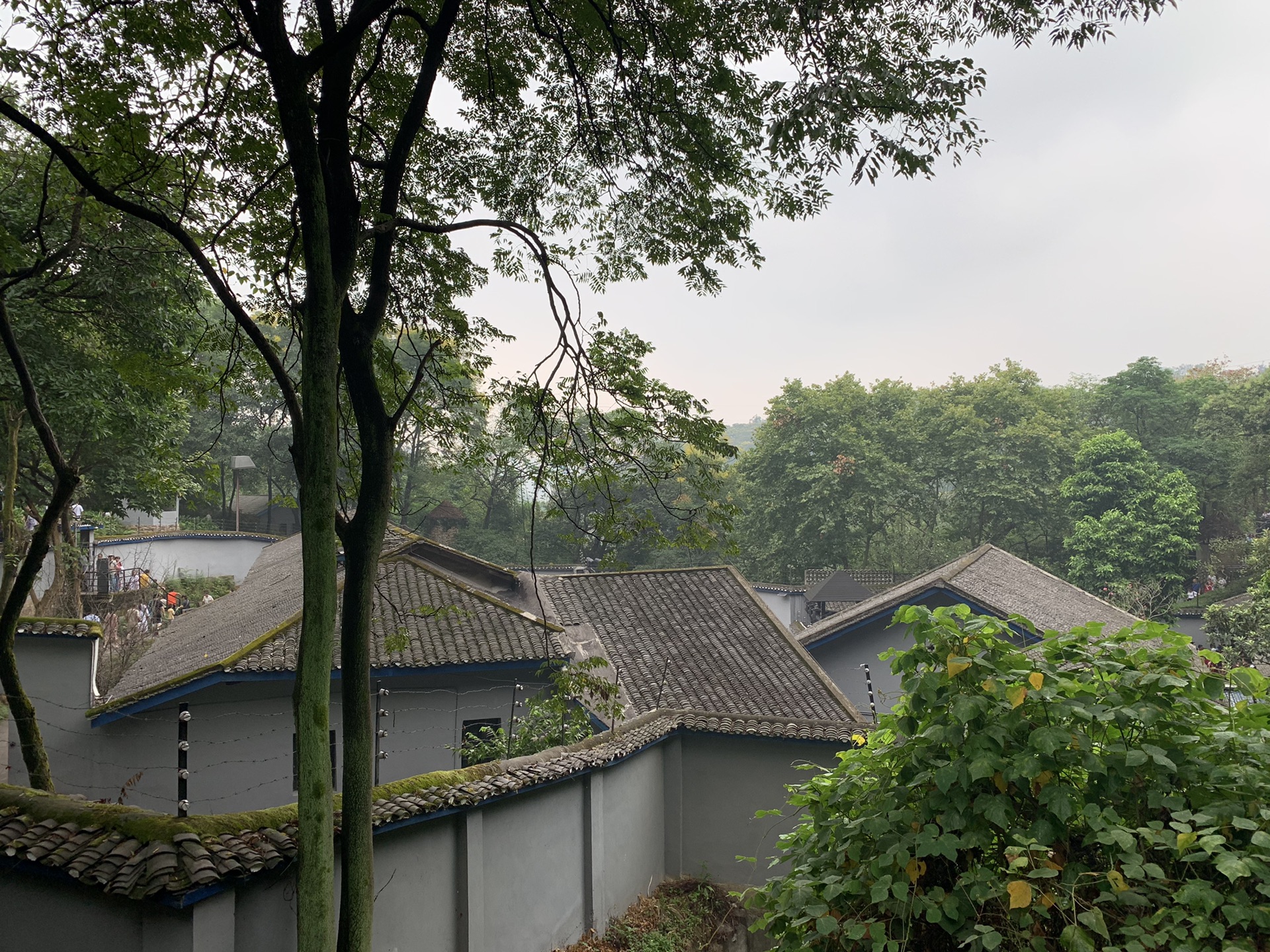 重慶day 3 磁器口古鎮,白公館,渣滓洞,山城步道,重慶自助遊攻略 - 馬