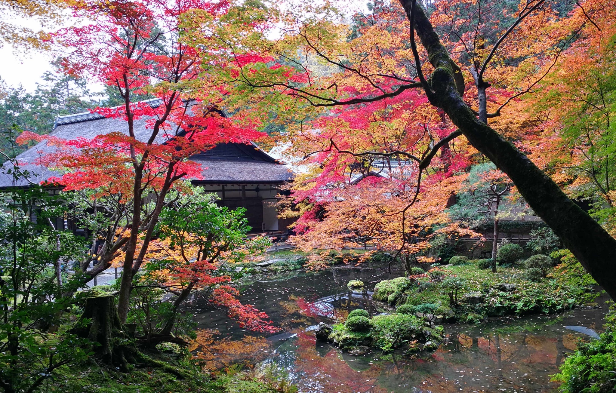 京都自助遊攻略