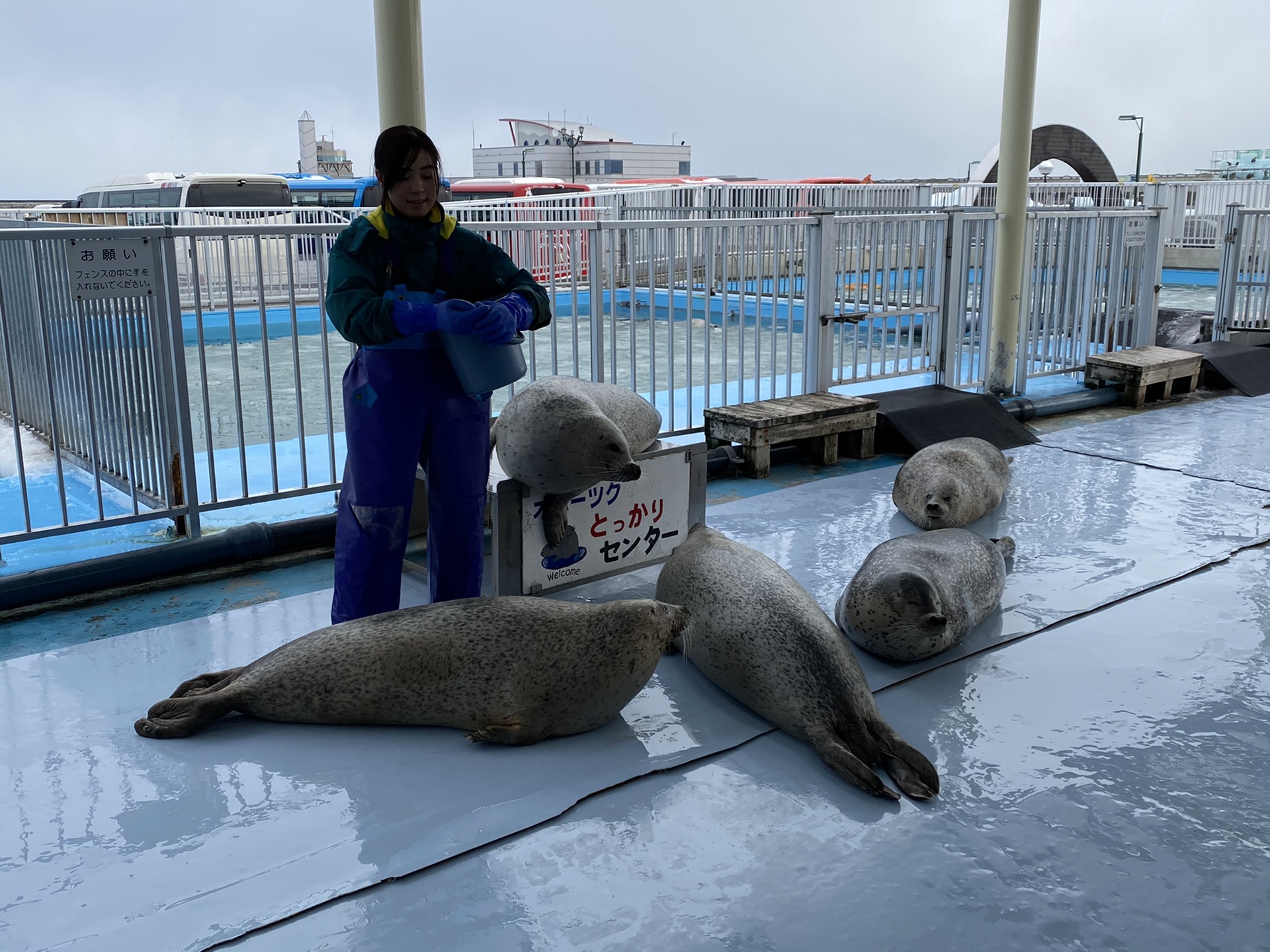 北海道自助遊攻略