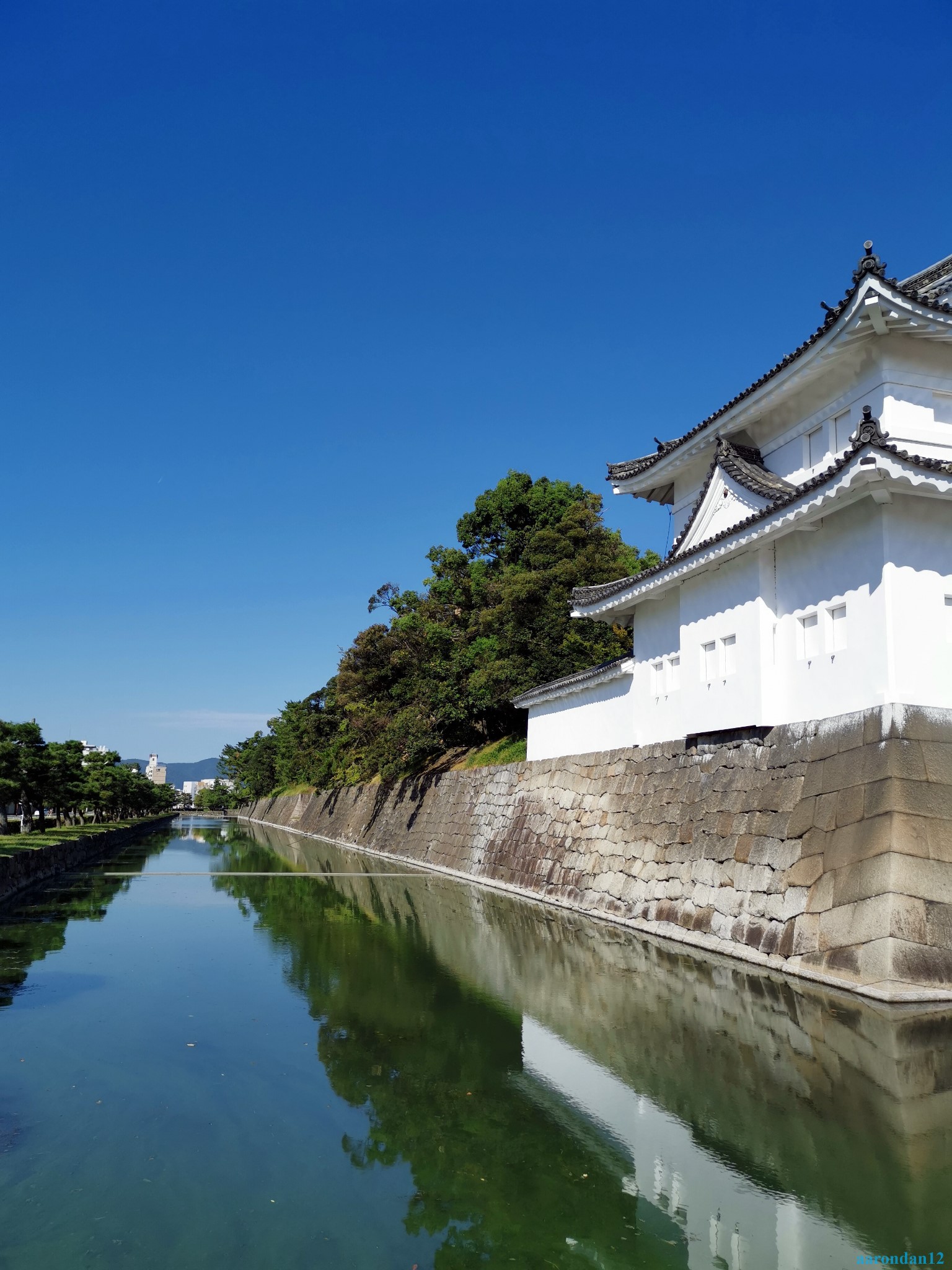 京都自助遊攻略