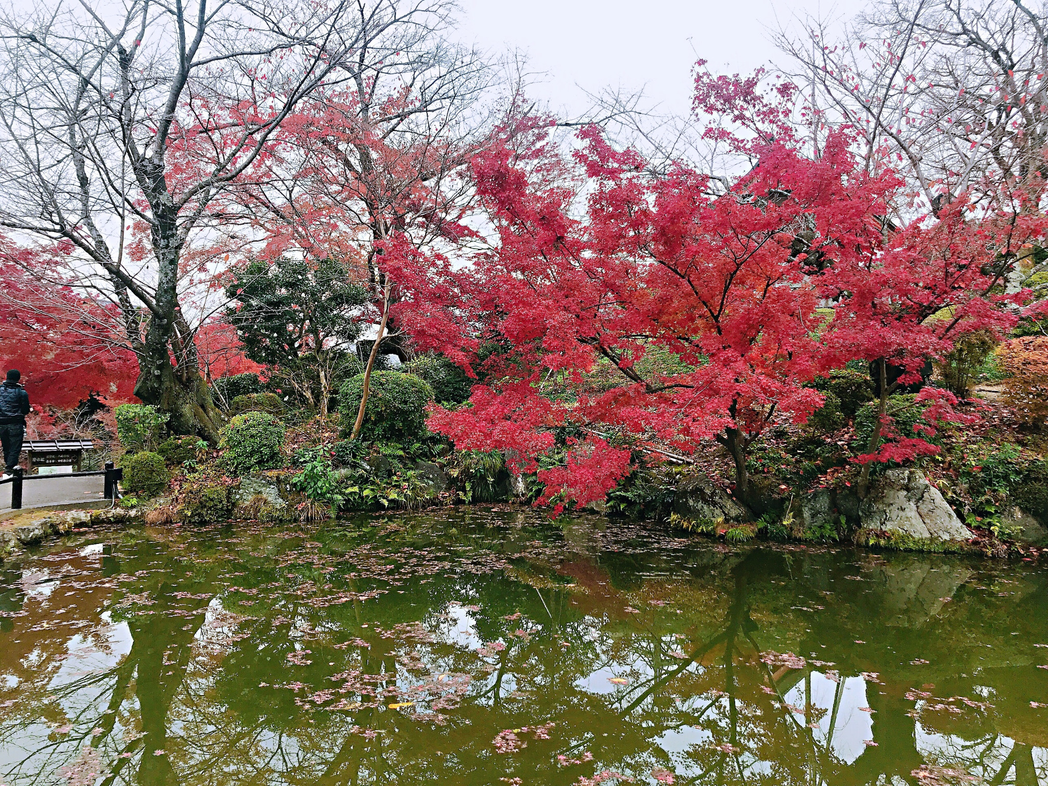 京都自助遊攻略