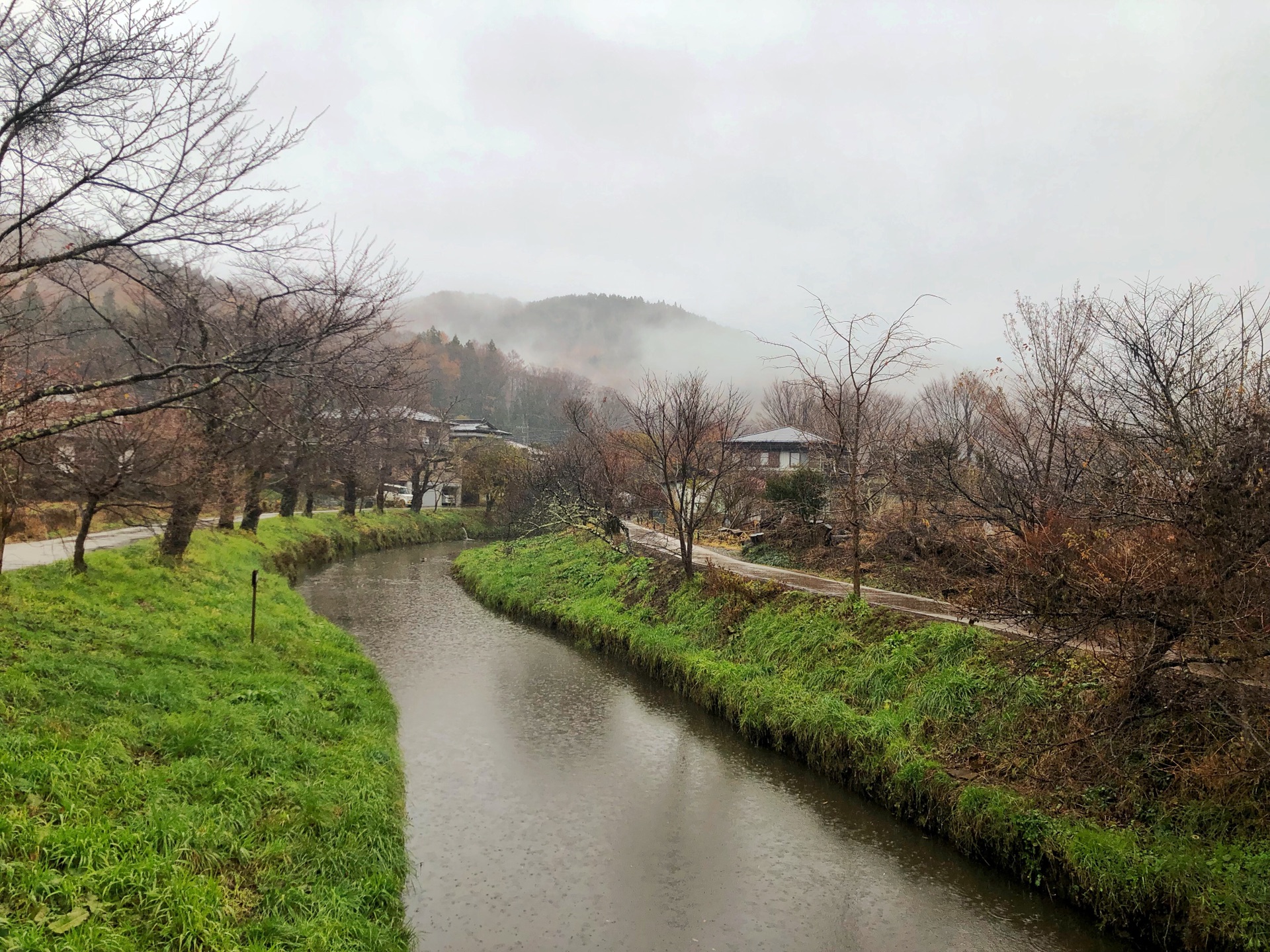 東京自助遊攻略