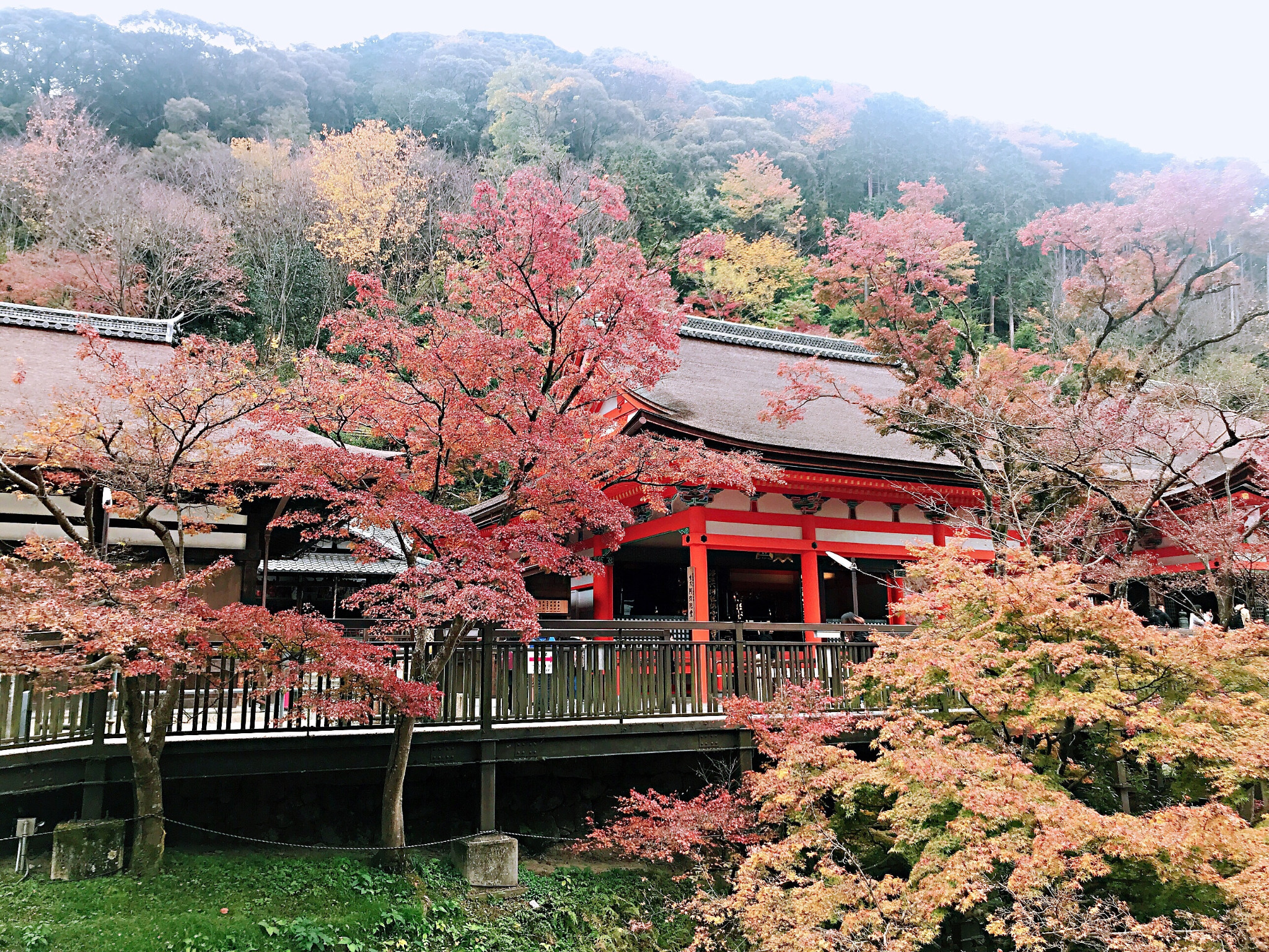 京都自助遊攻略