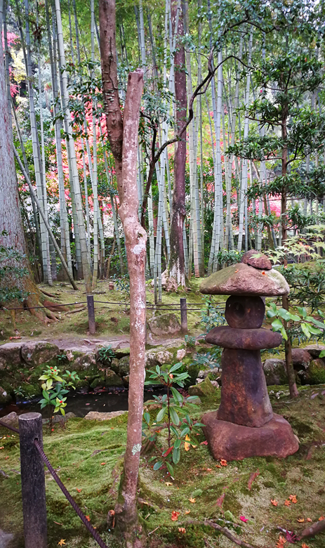 京都自助遊攻略