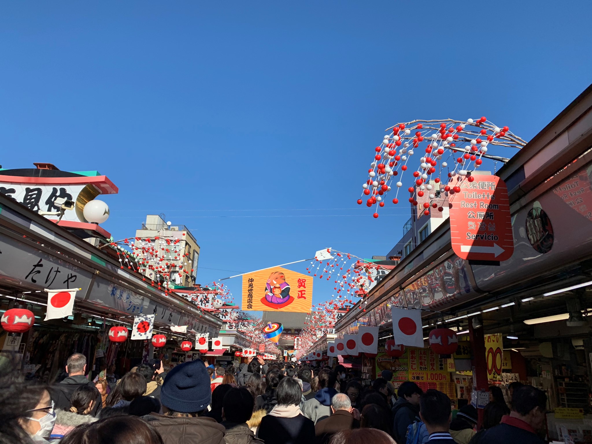 北海道自助遊攻略