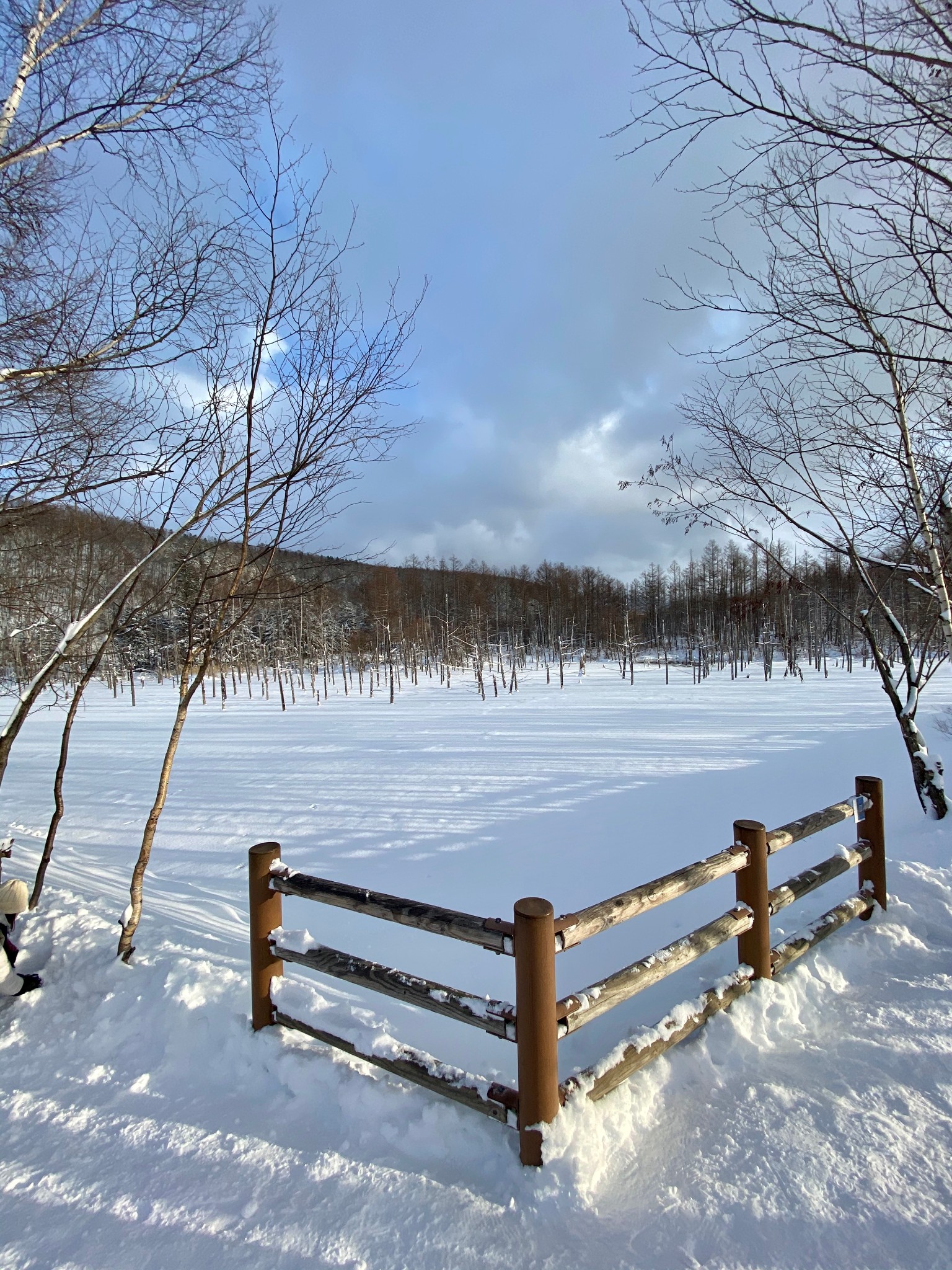 北海道自助遊攻略