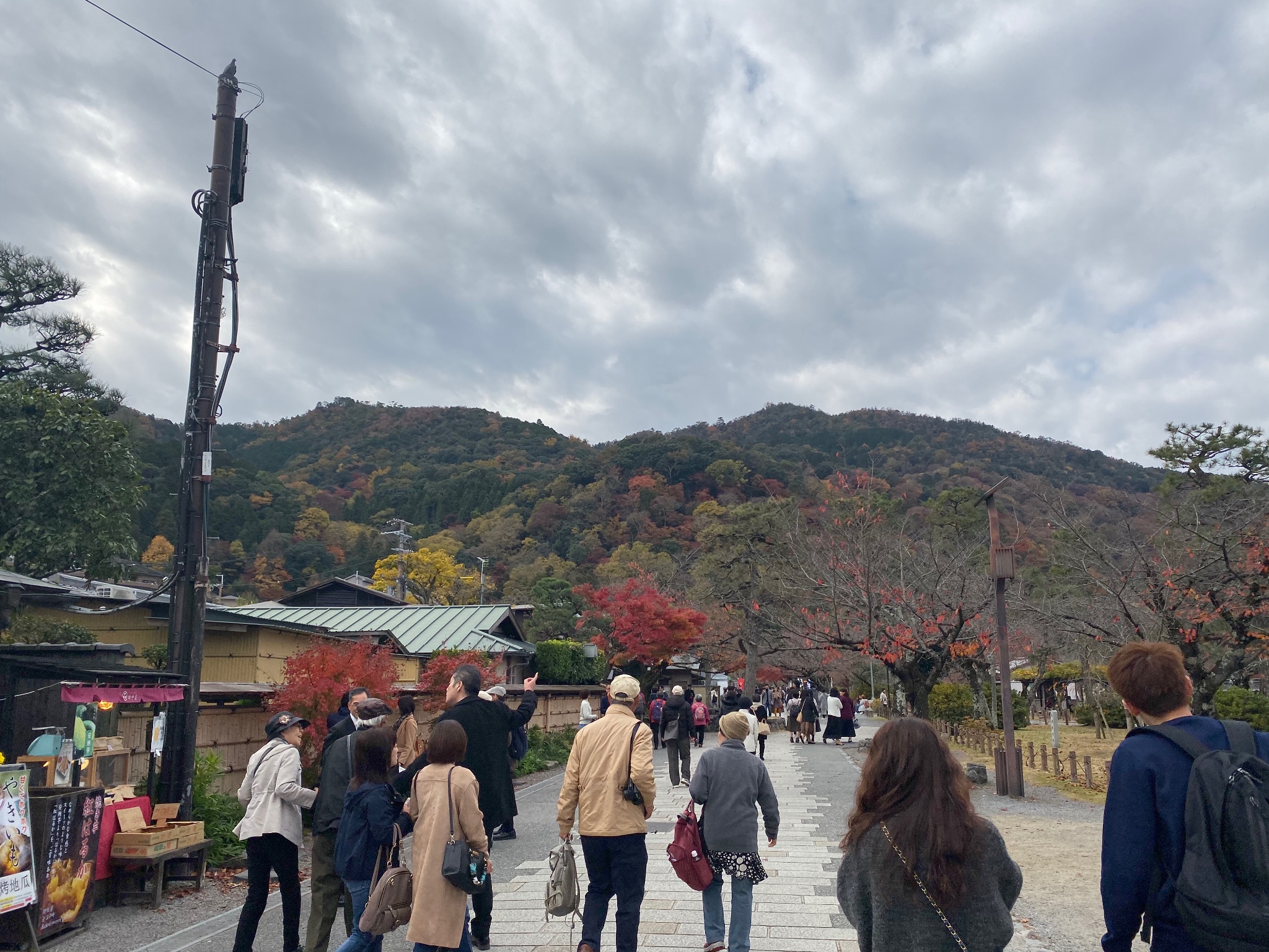 京都自助遊攻略