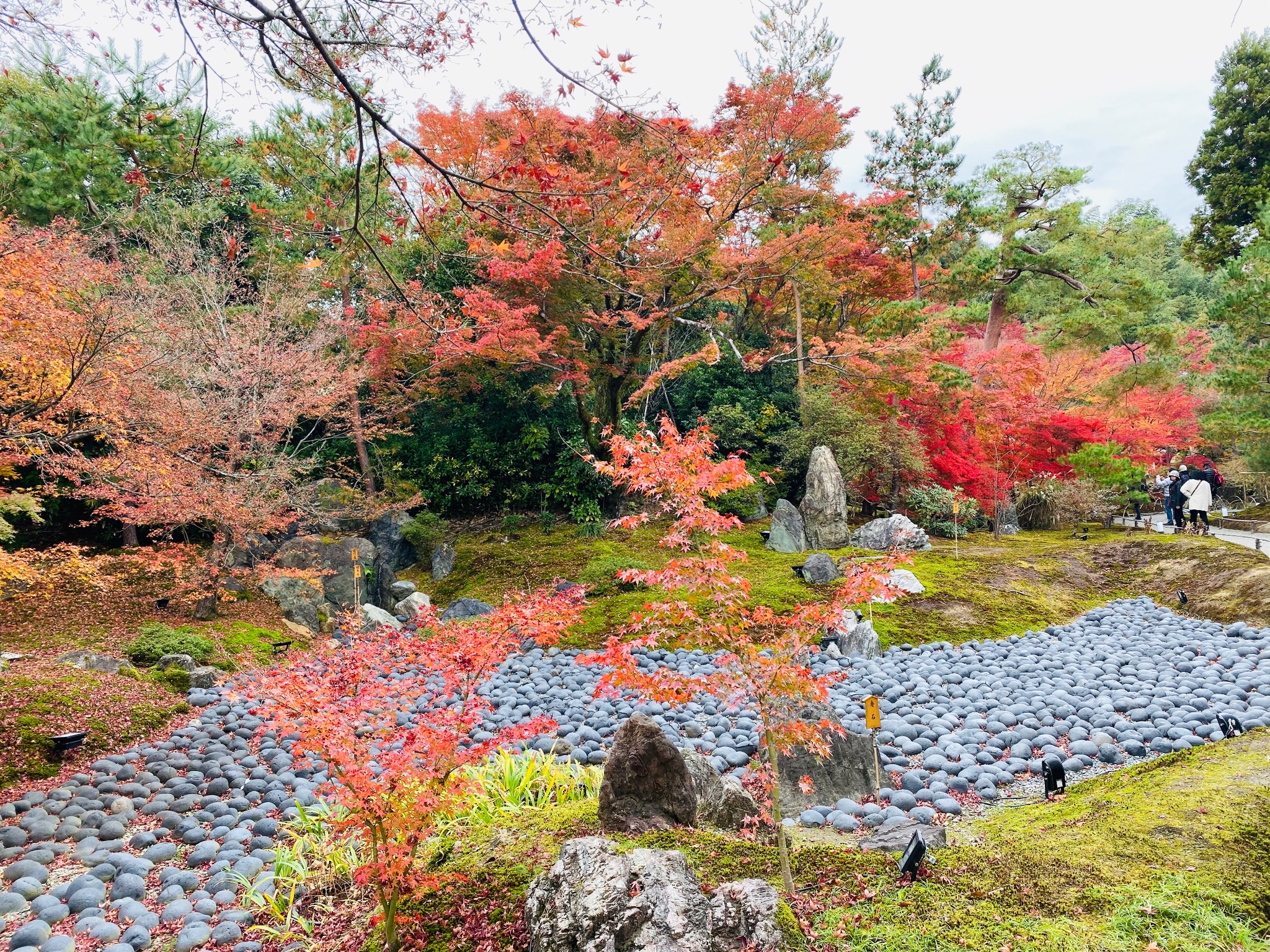 京都自助遊攻略