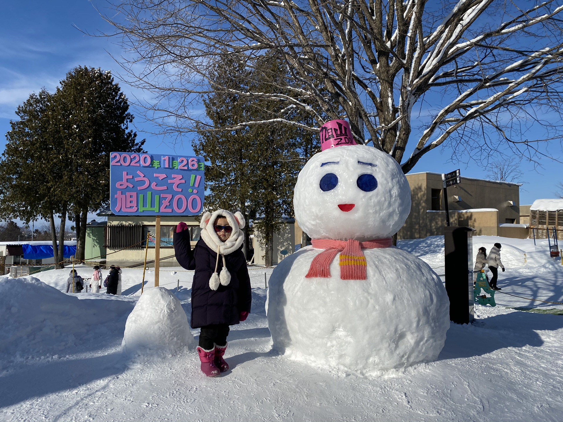 北海道自助遊攻略