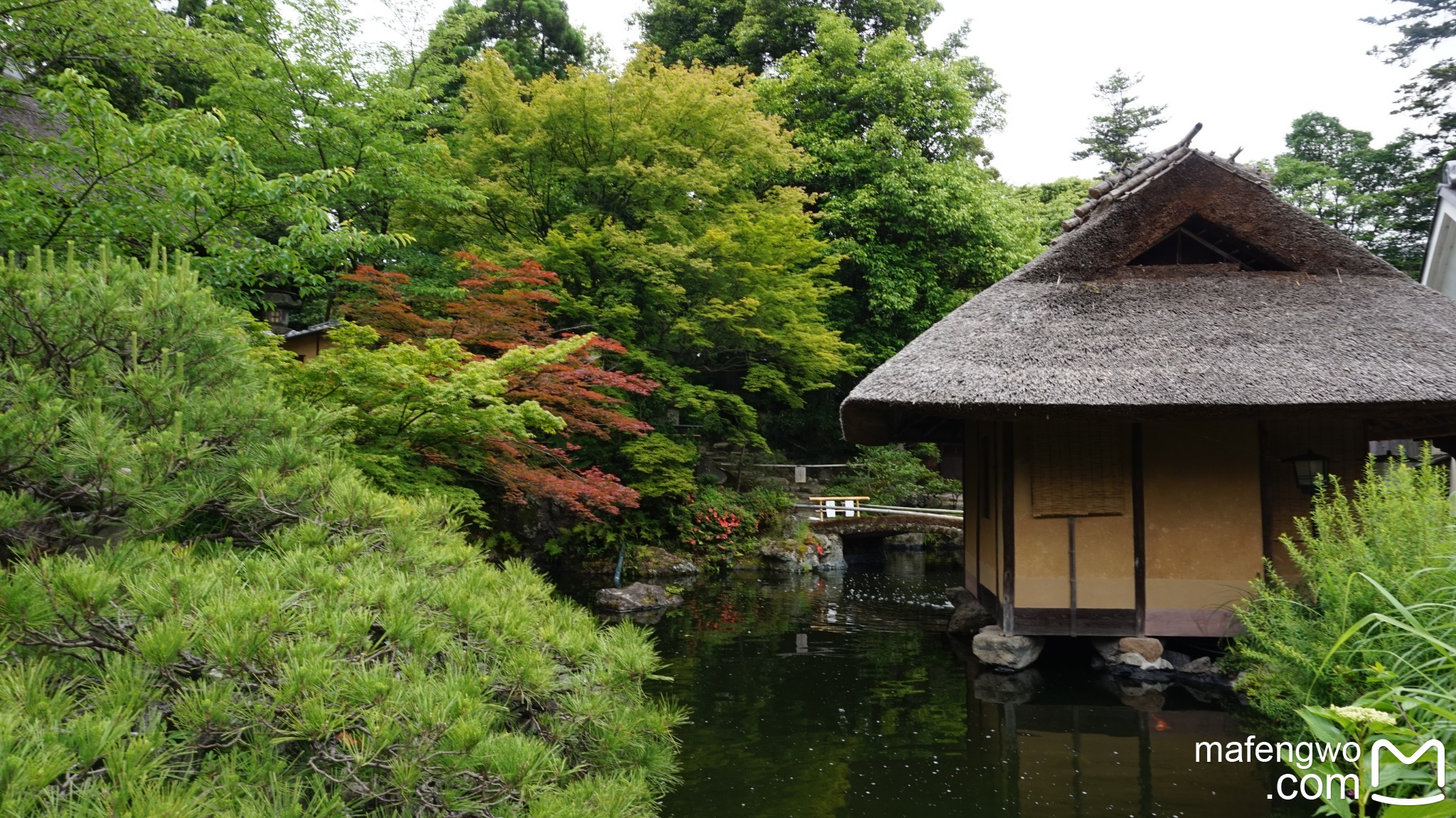 京都自助遊攻略