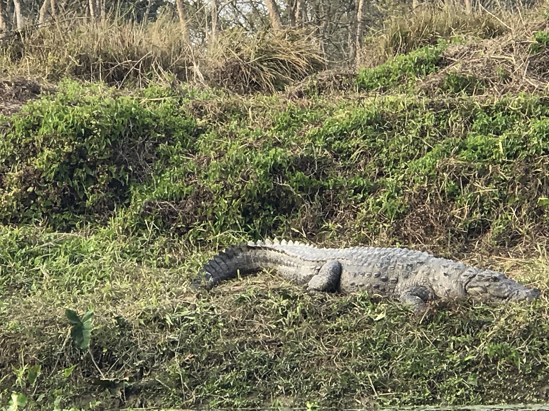 尼泊爾自助遊攻略