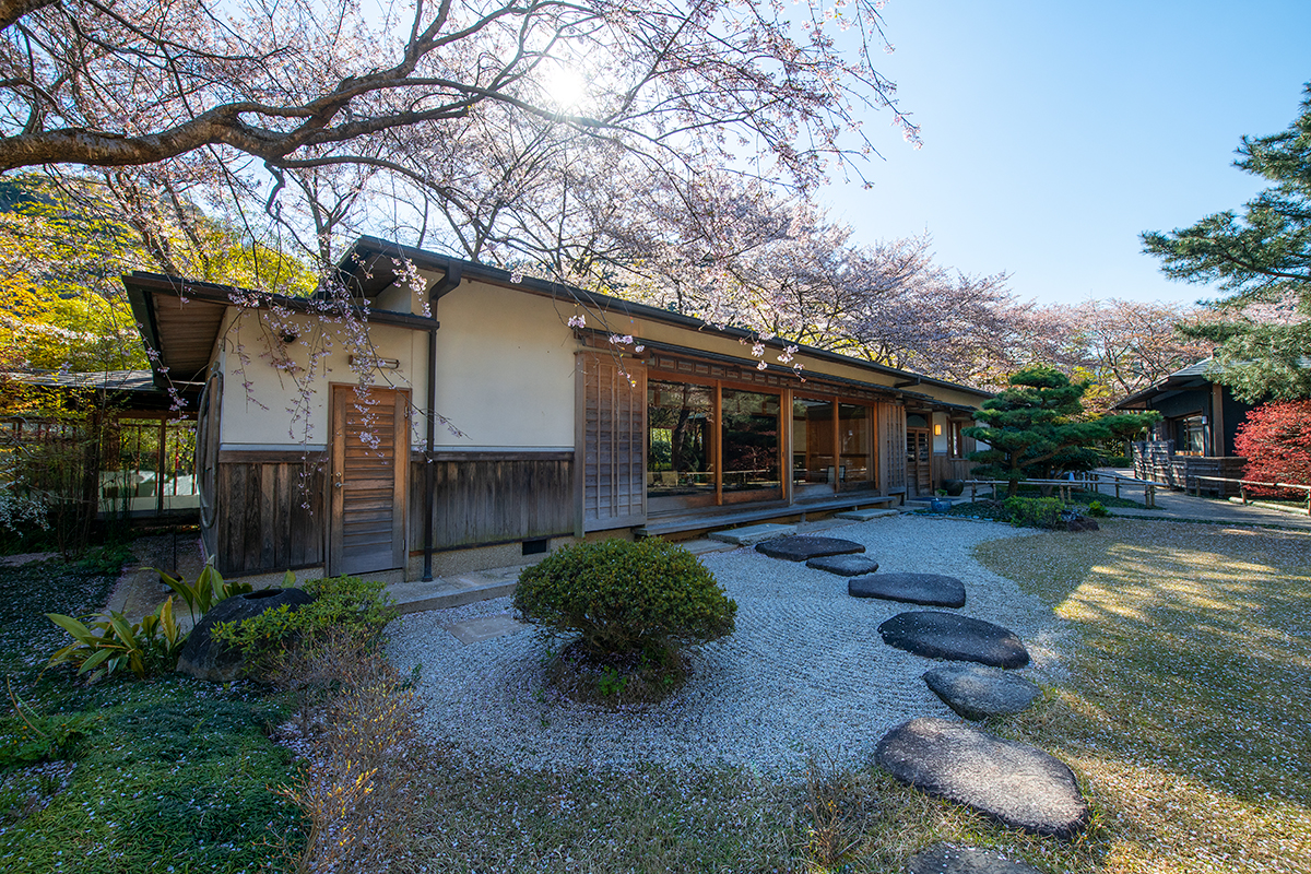 日本大阪民宿推荐大阪旅游线路攻略,大阪樱泉会馆之旅 - 马蜂窝