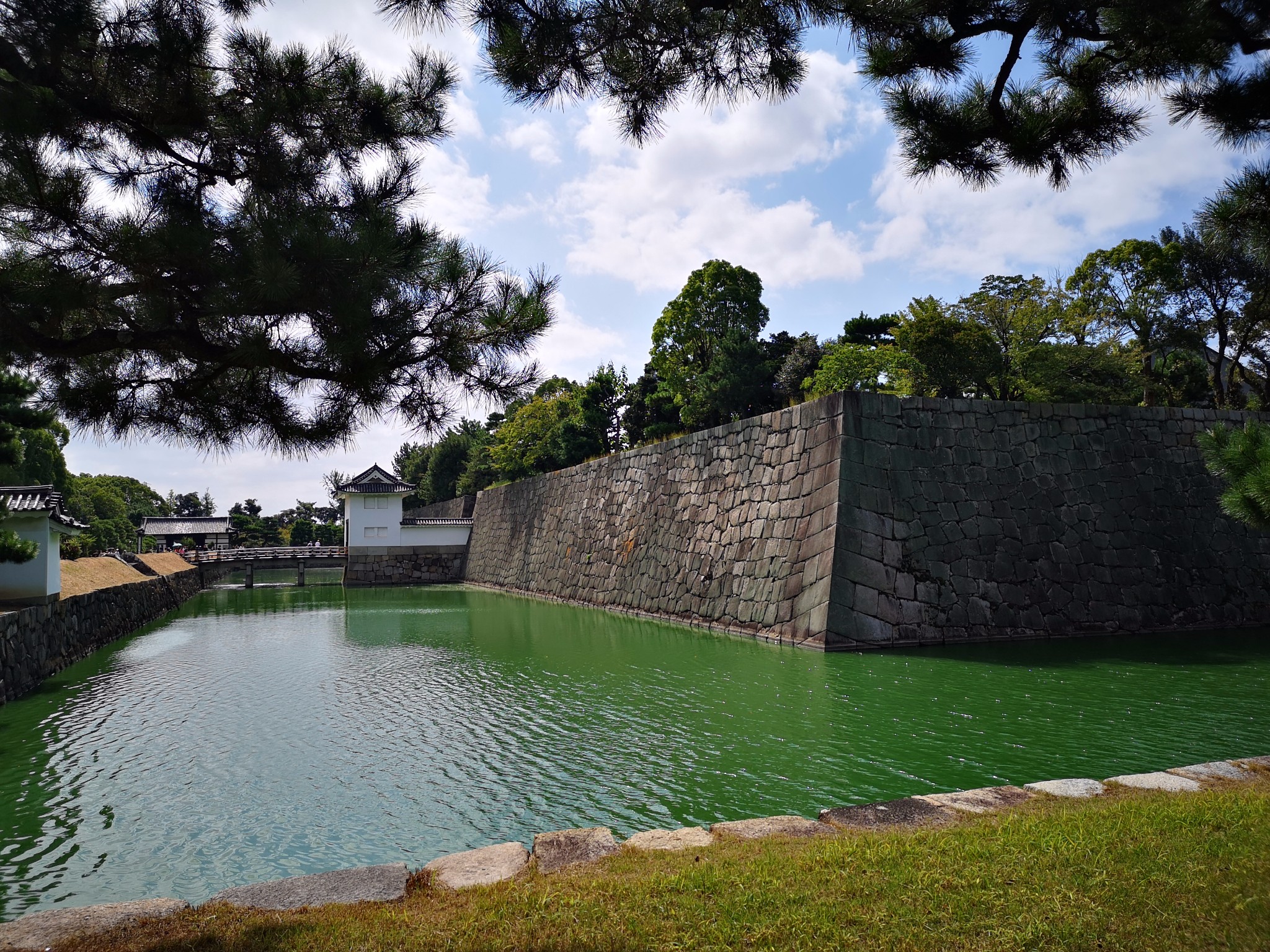 京都自助遊攻略