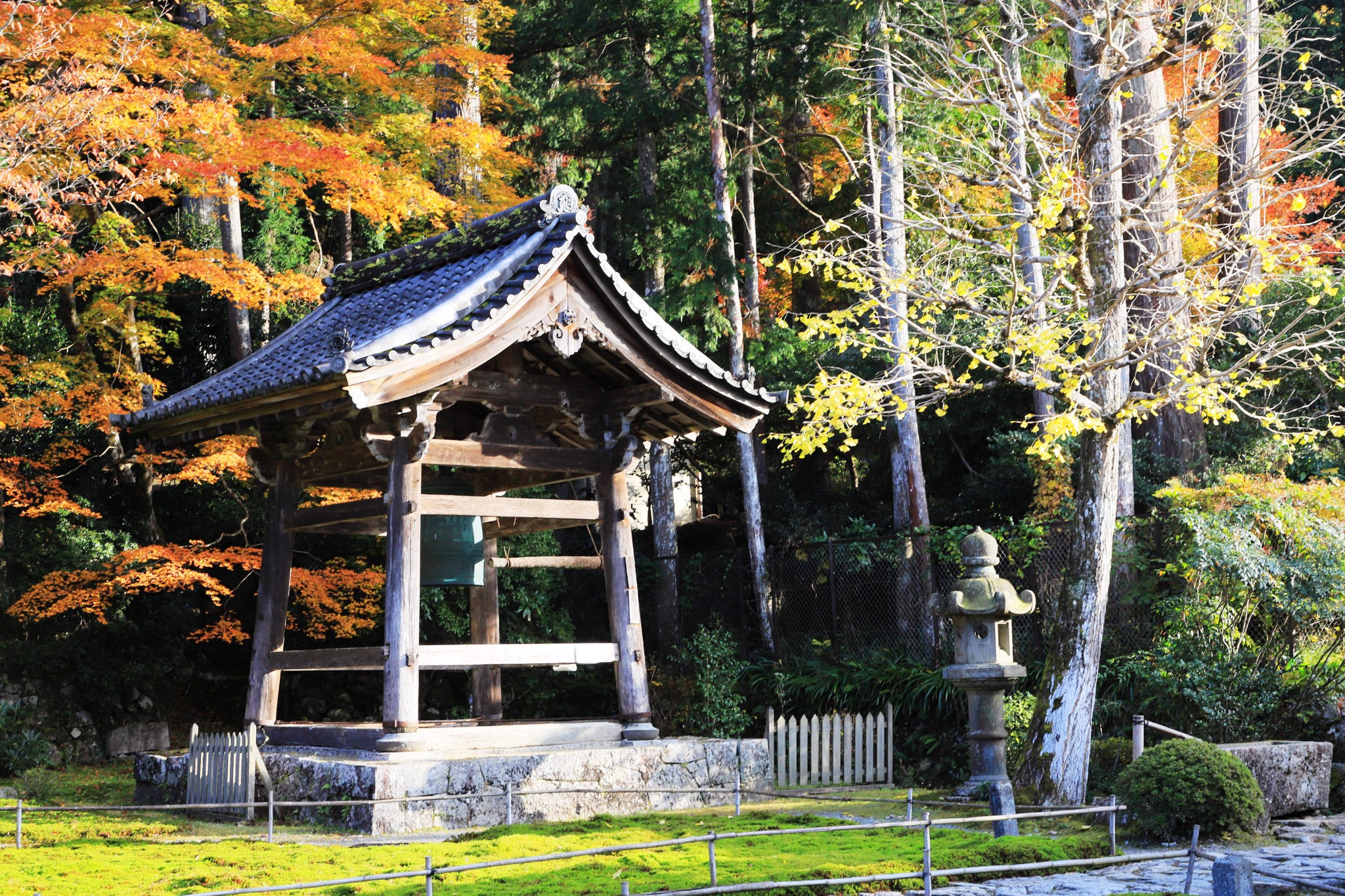 京都自助遊攻略