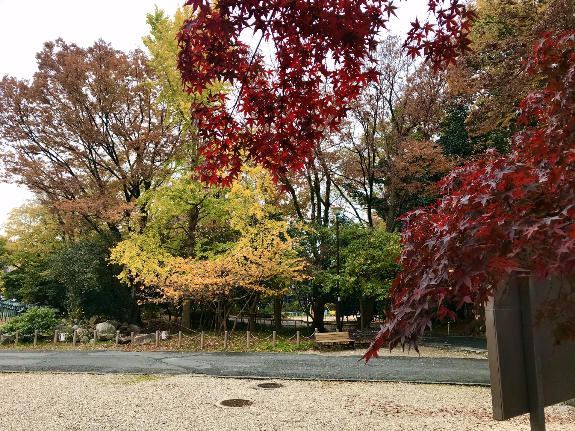 名古屋自助遊攻略