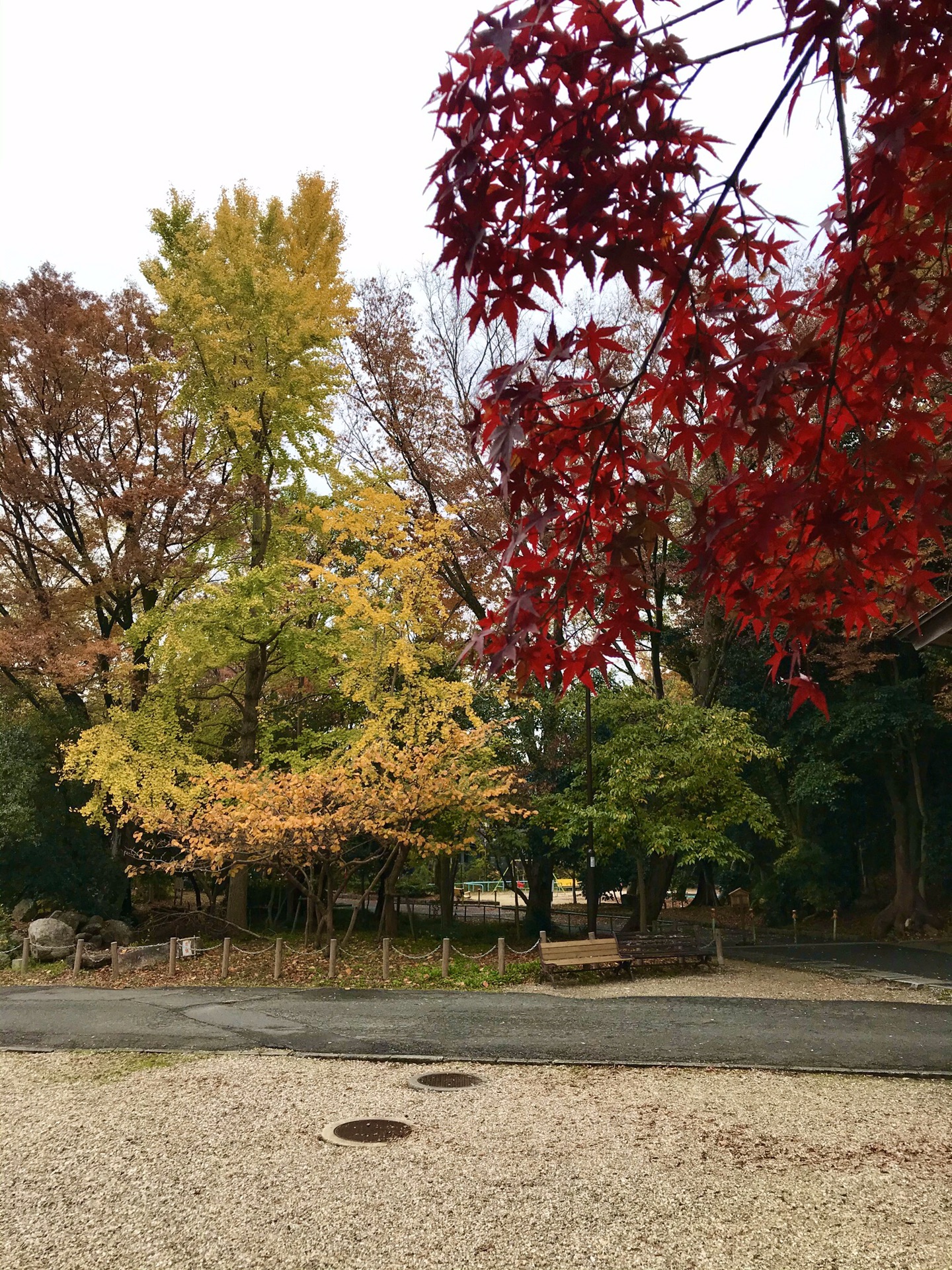 名古屋自助遊攻略