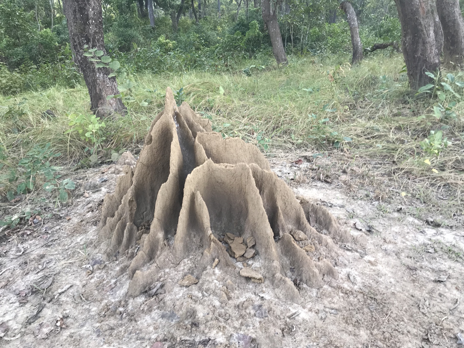 尼泊爾自助遊攻略