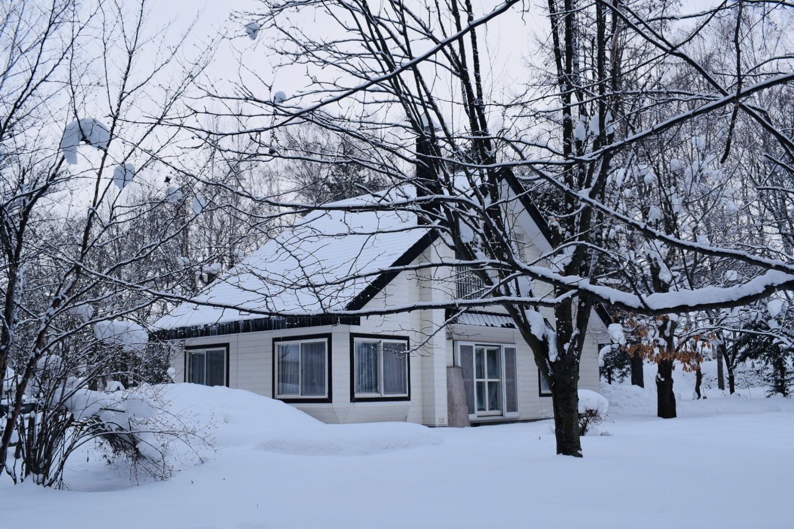 北海道自助遊攻略