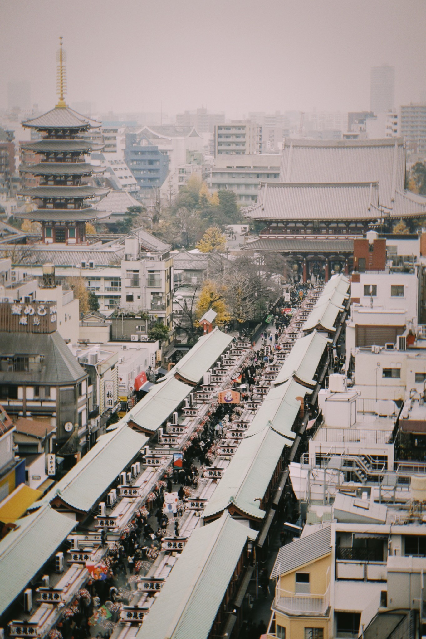 東京自助遊攻略